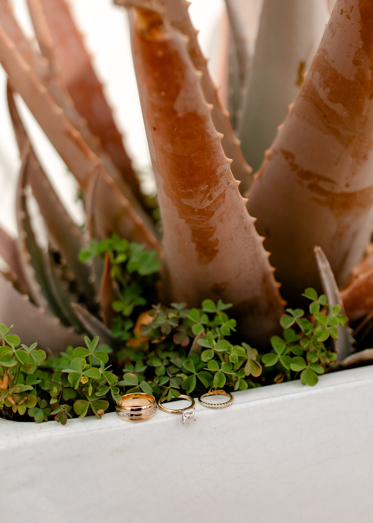 10222023_MaryBeth+BryceWedding_VenturaCA_AnjaJensenPhotography-47
