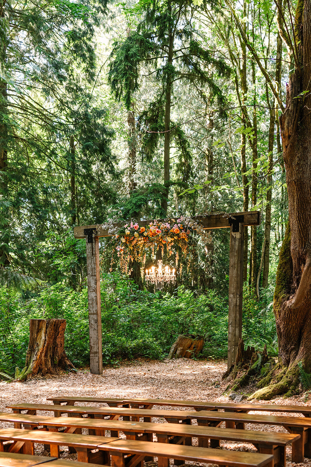 Snohomish Forest Venue Twin Willow Gardens