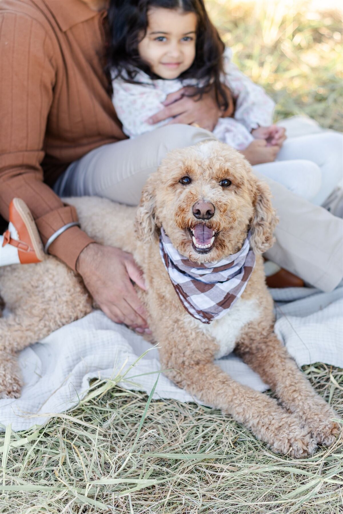 Heidi Fam Photography - Christmas Tree Farm Mini Session
