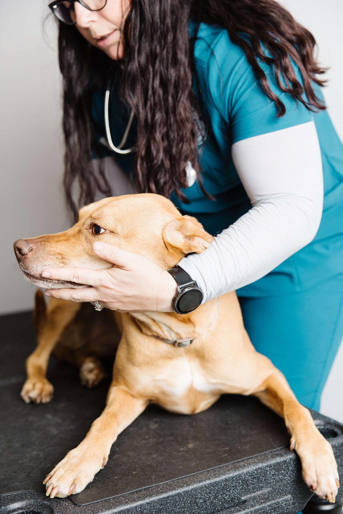 Holisitic-veterinary-practice-brand-photo-by-southern-idaho-commercial-brand-photographer-erin-moore