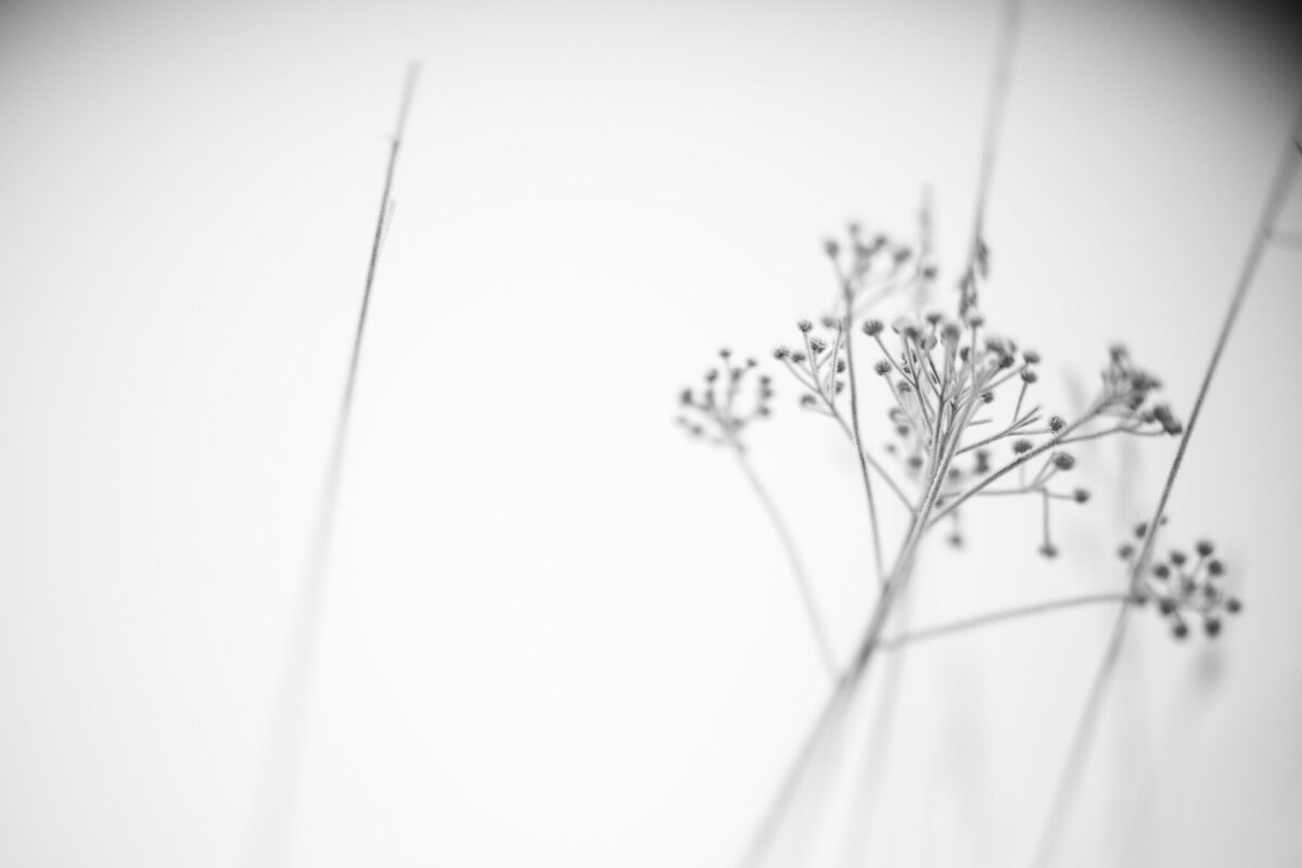 fine_art_photographer _040