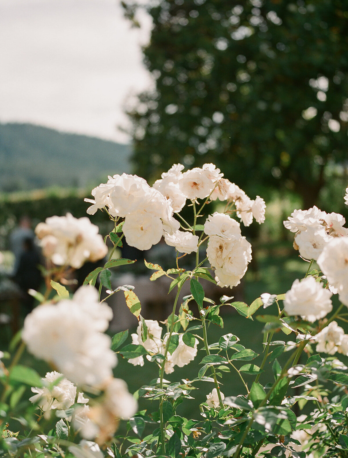 Nate-JT-Wedding-Delivered-highlights-293_websize