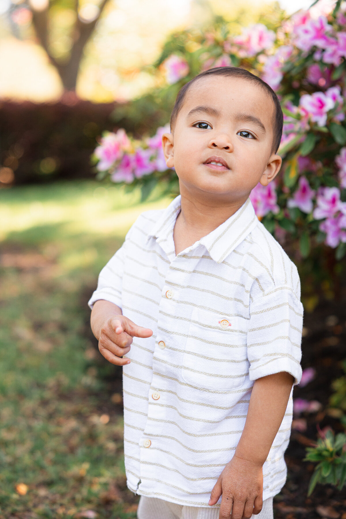 Piedmont Park Japanese Teahouse_Bay Area Family Photography_Valarie Duran Photography-7781