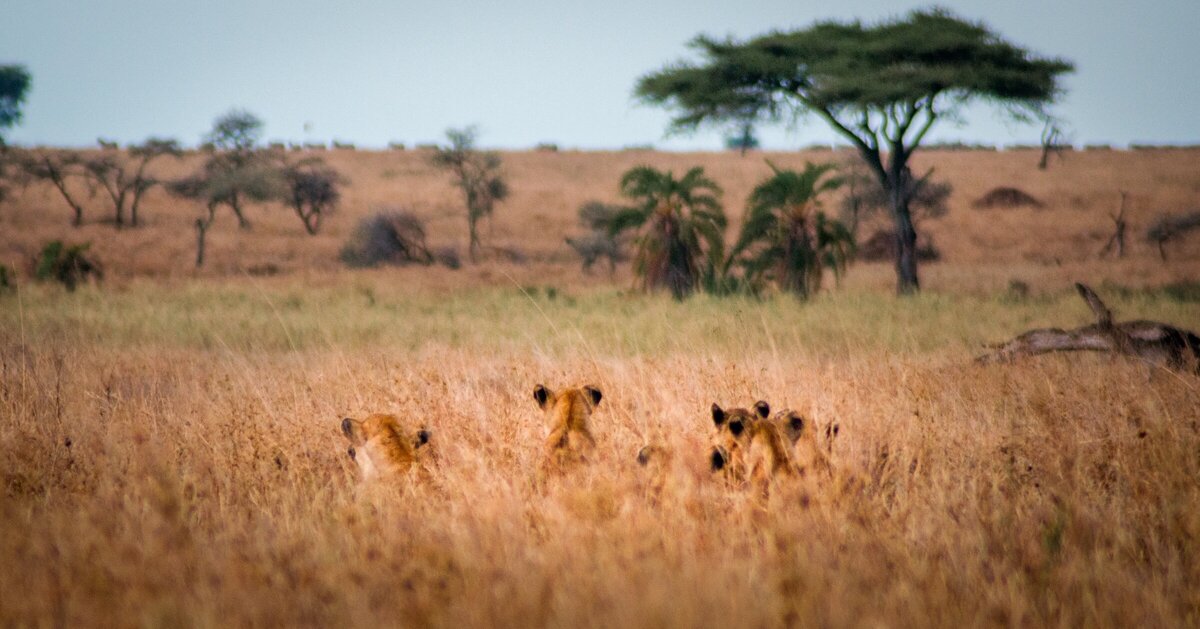 Travel Lifestyle hospitality photographer3