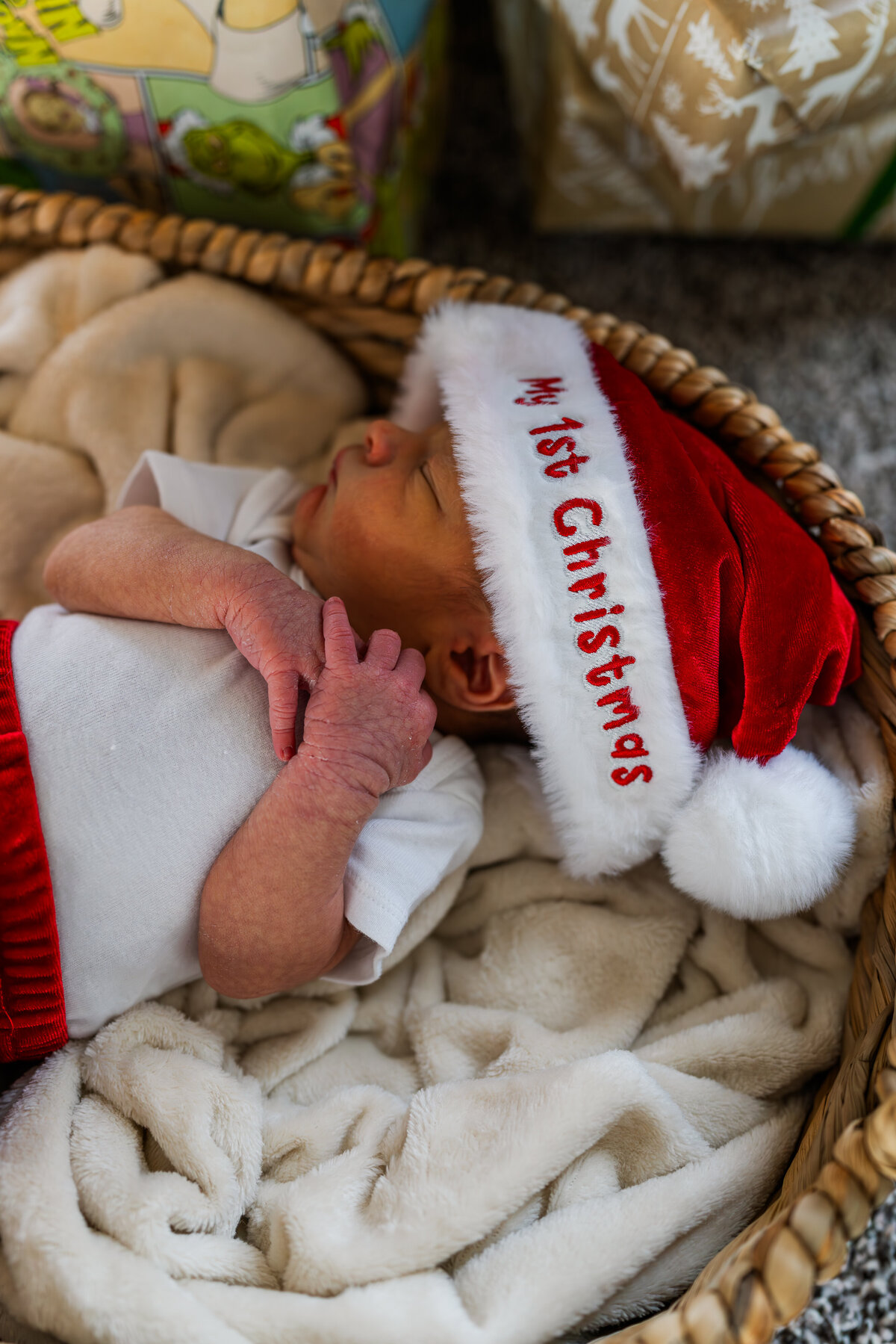 Torres Newborn 1--12