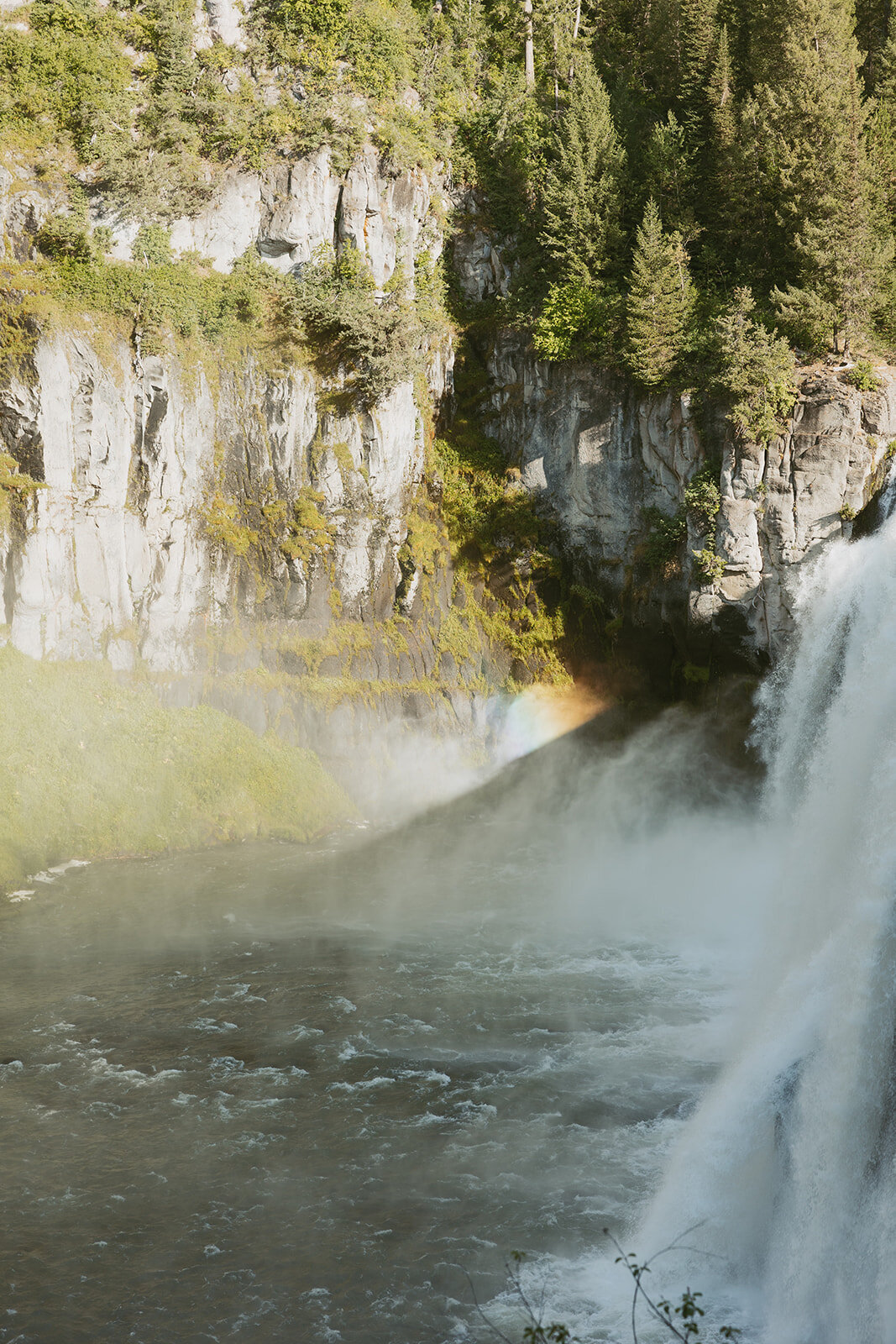 tanya-davids-photo-film-mesa-falls-yellowstone-rexburg-island-park-destination-storytelling-documentary-wedding-elopement-phototgrapher-idaho-46