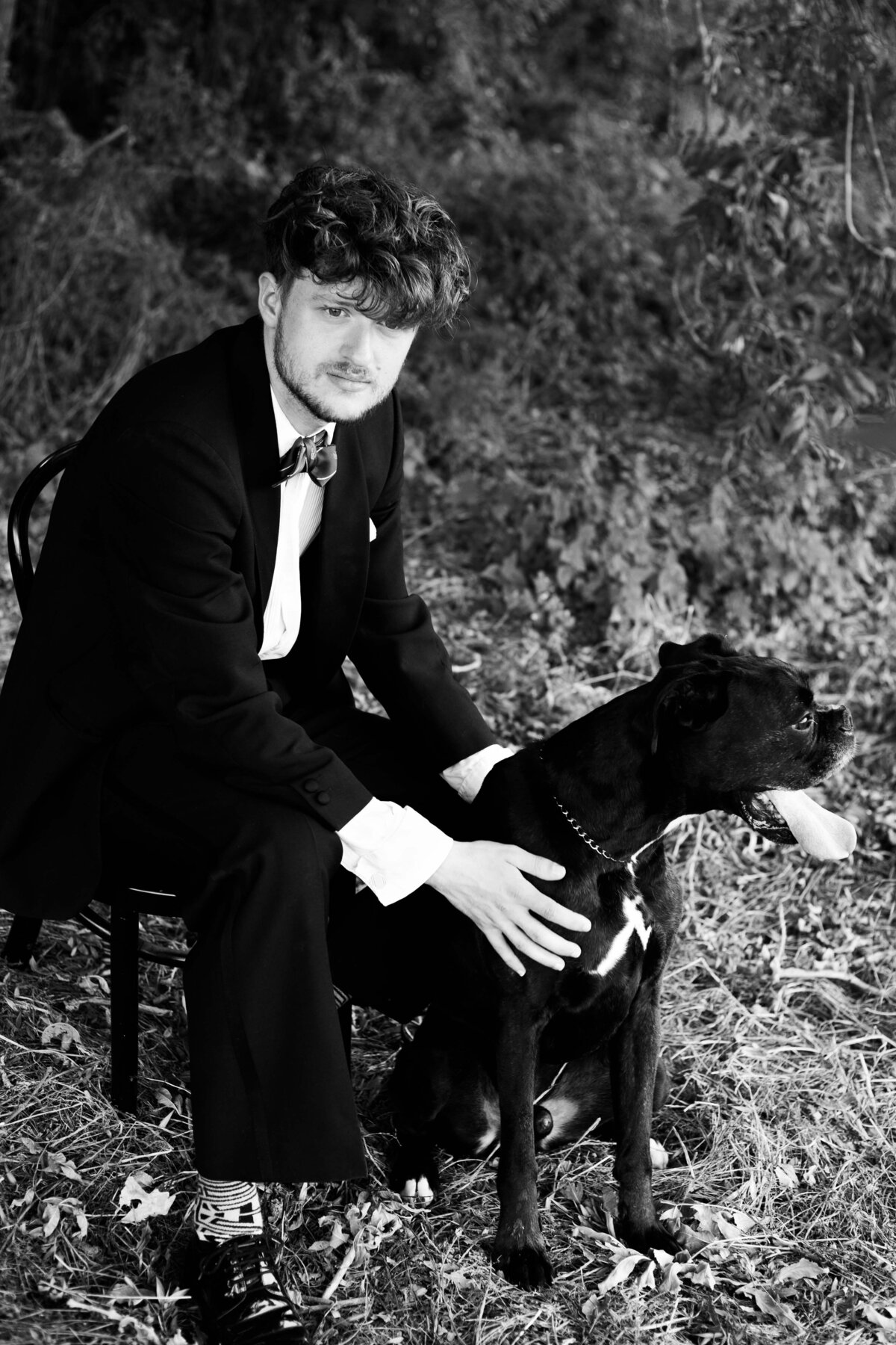 huisdier-shoot-hond-boxer-bono-en-jordi-in-het-bos (3 of 11)