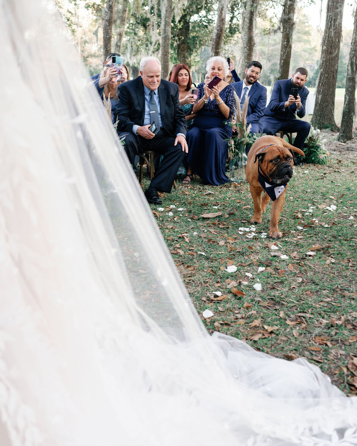 Wedding At Runnymede Plantation, Charleston, SC