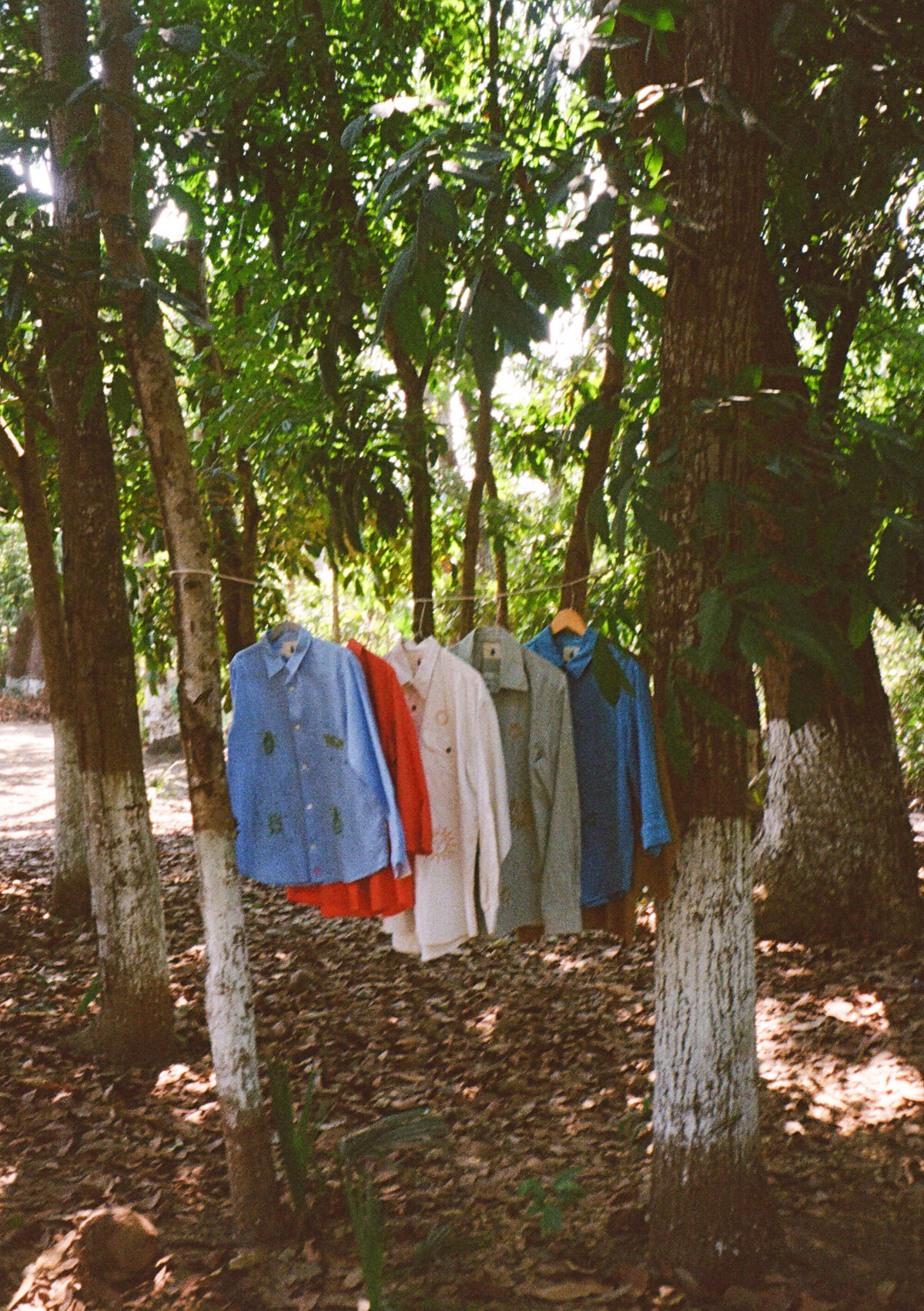 guatey_halfframe-5