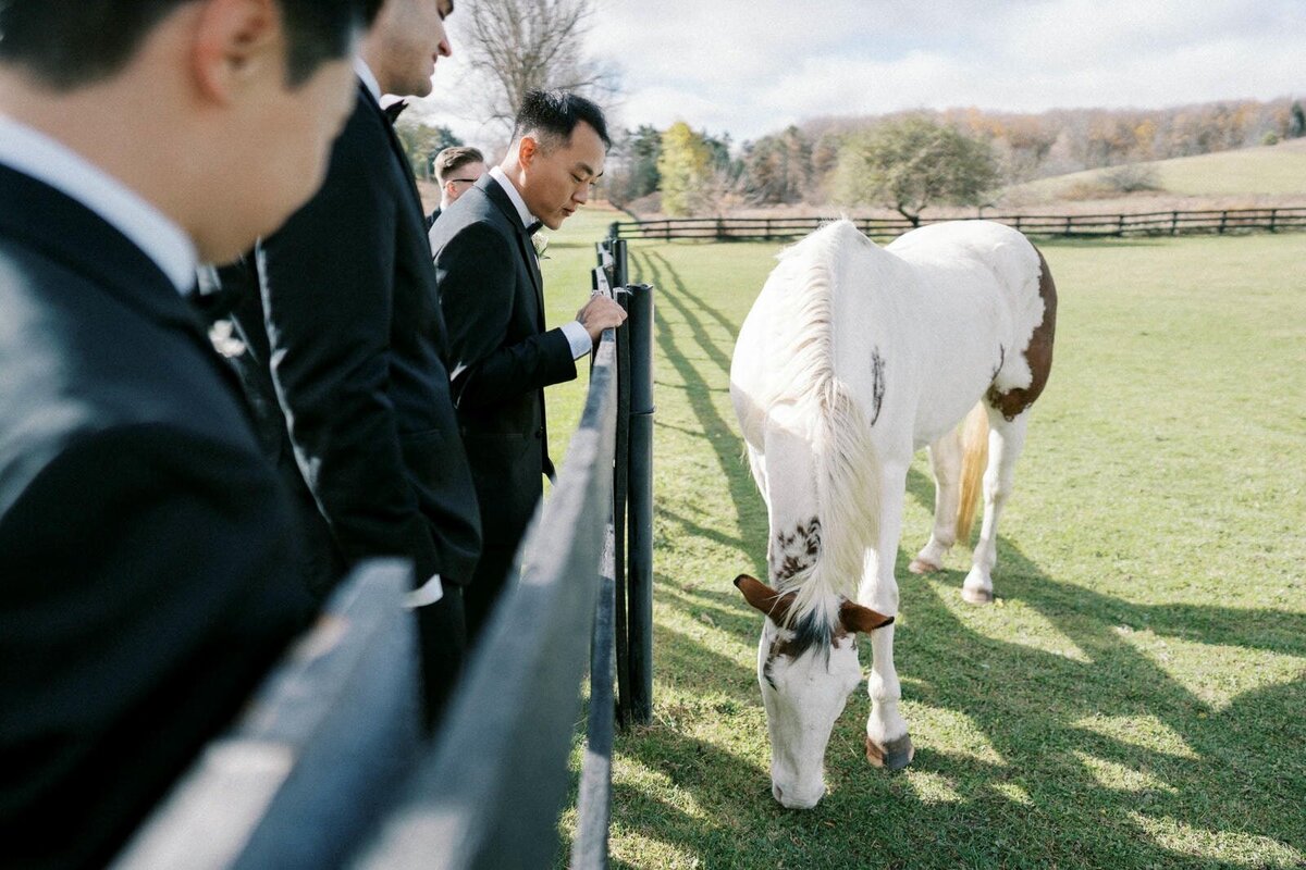 W11-Wedding-Photos-Caledon-Valley-Estate-Eleanor-and-Michael-2024-11-02-2500px-1027