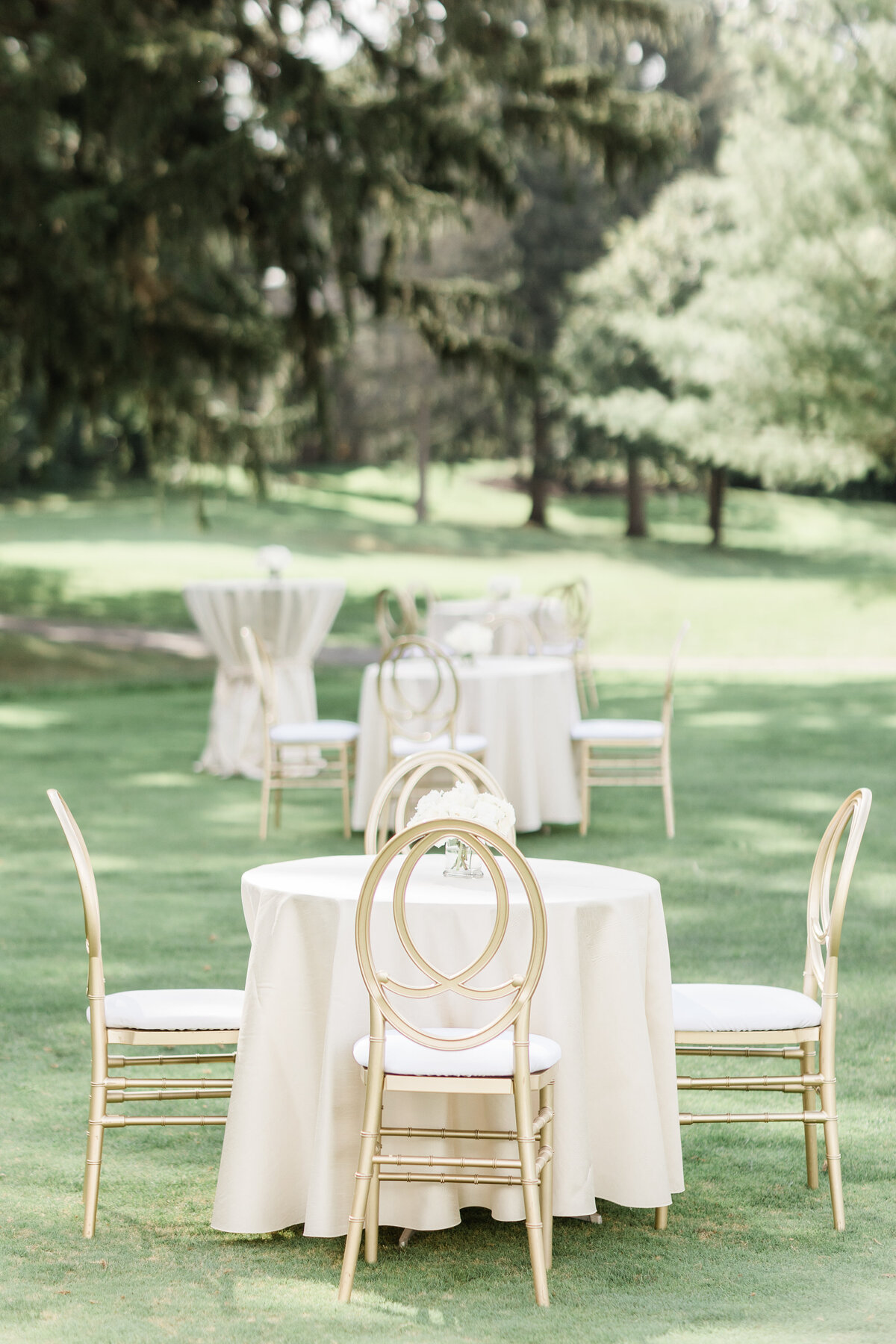 PATTERSON PREVIEW-257