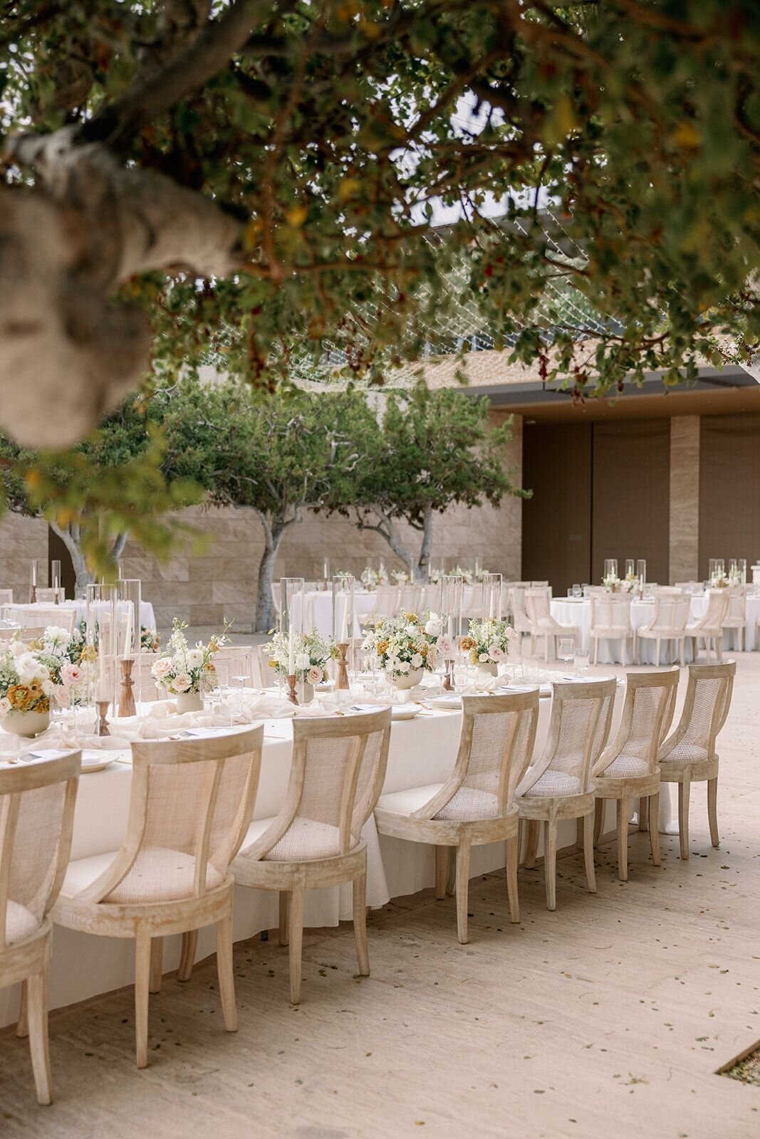 Cabo-Wedding-Photography-47