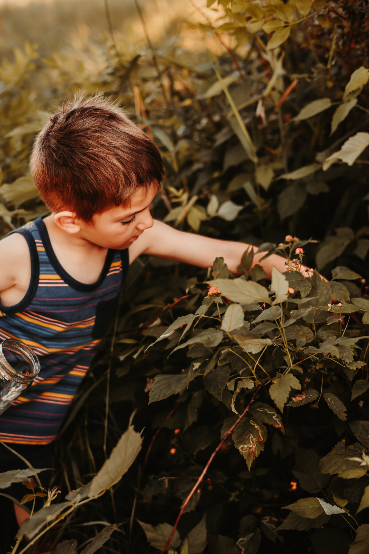 Nature photography - Amanda Nicholle Photography