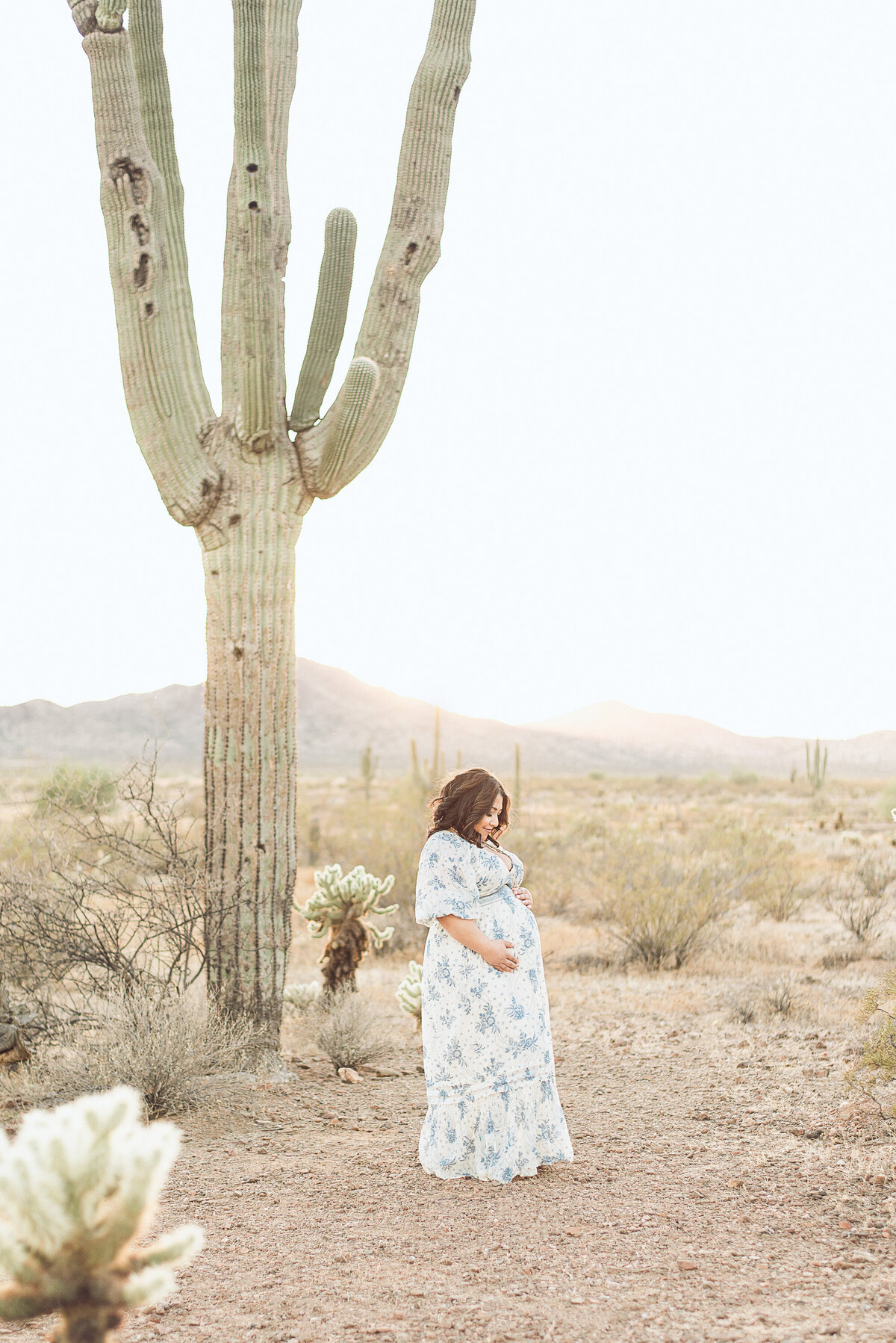 phoenix-maternity-photographer-356