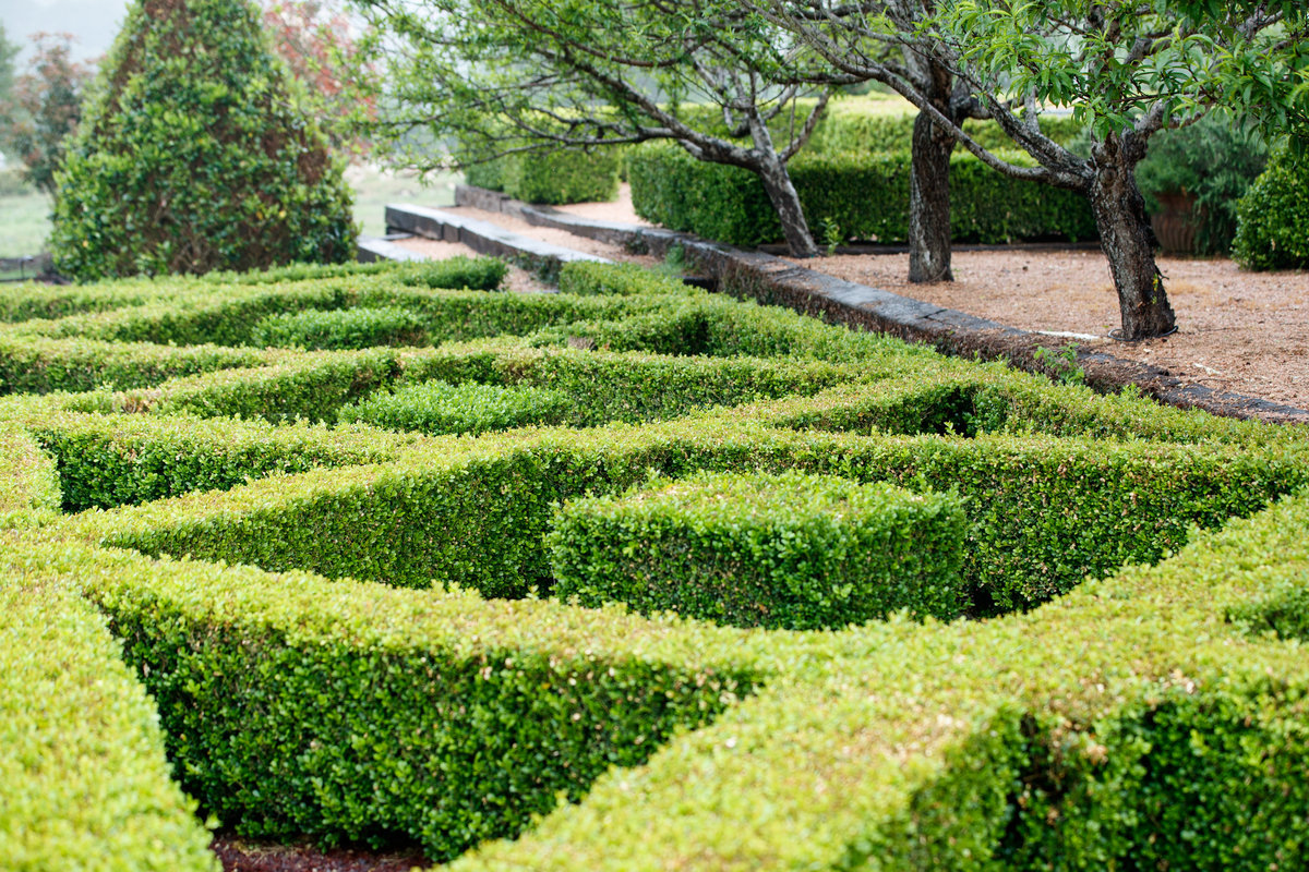 Austin wedding photographer cranesbury view photographer gardens