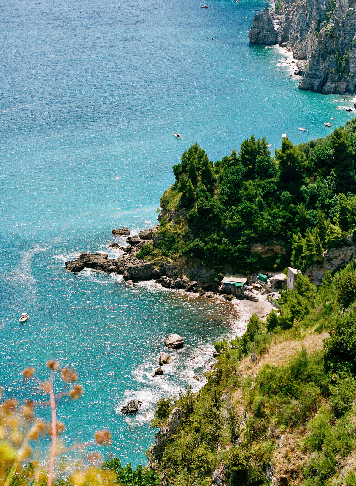 Taryn + Brendan Film Scans 047