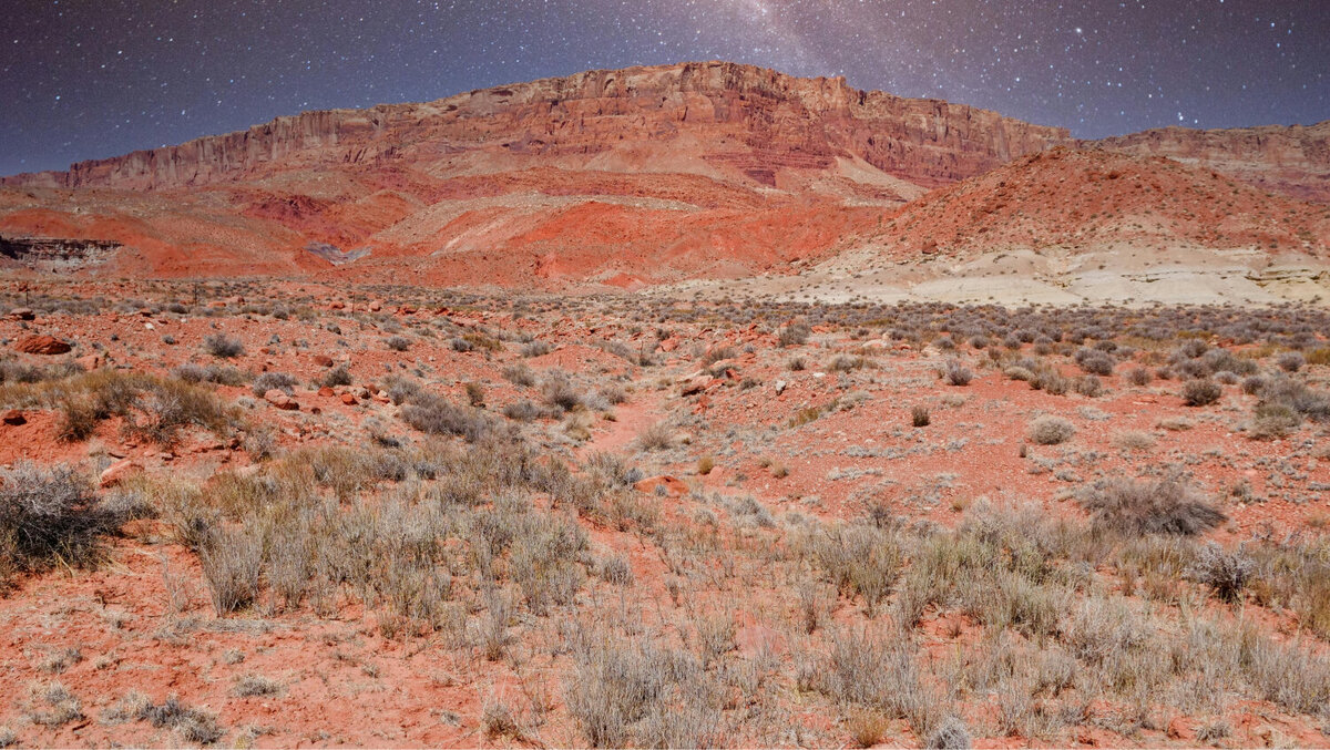 A rocky desert landscape at night so you can see the stars.