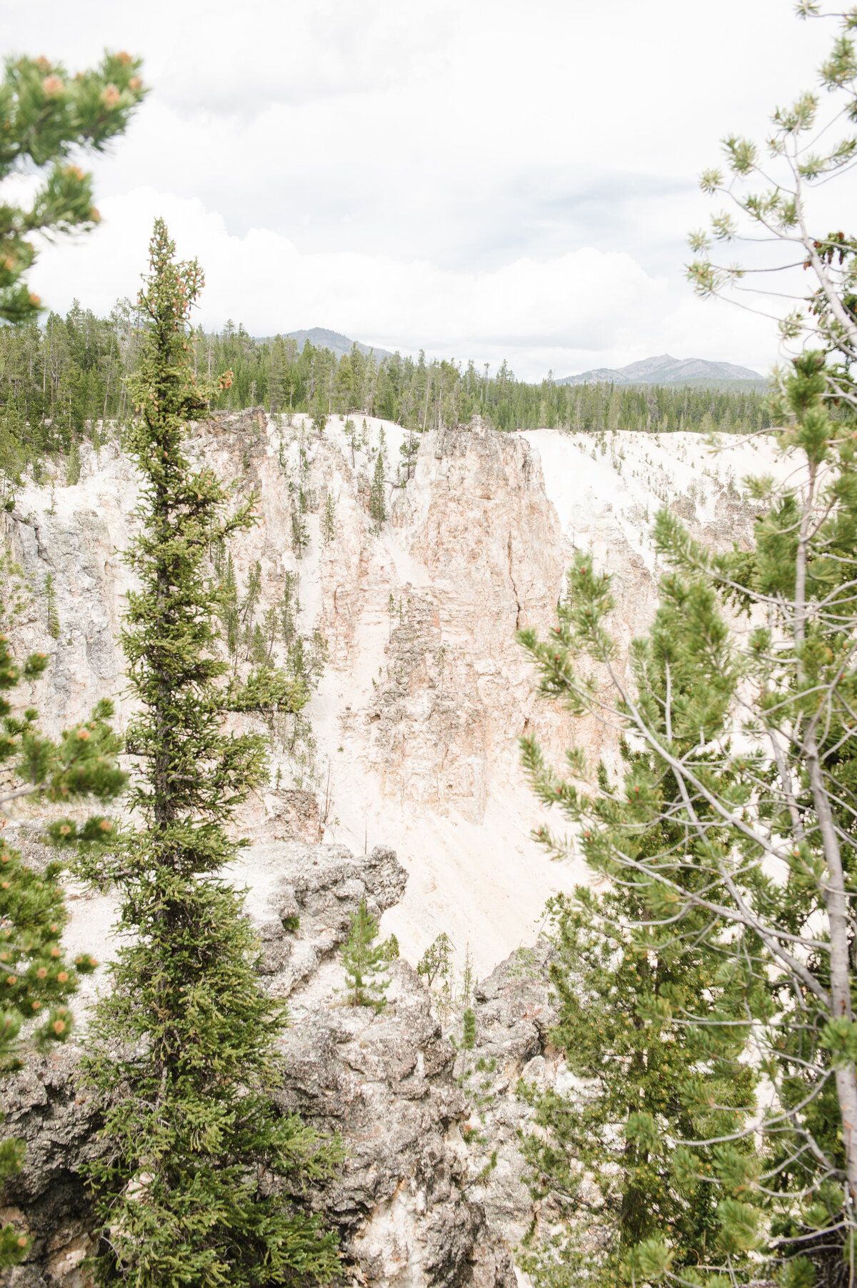 Yellowstone National Park by The Hill Studios-1-2