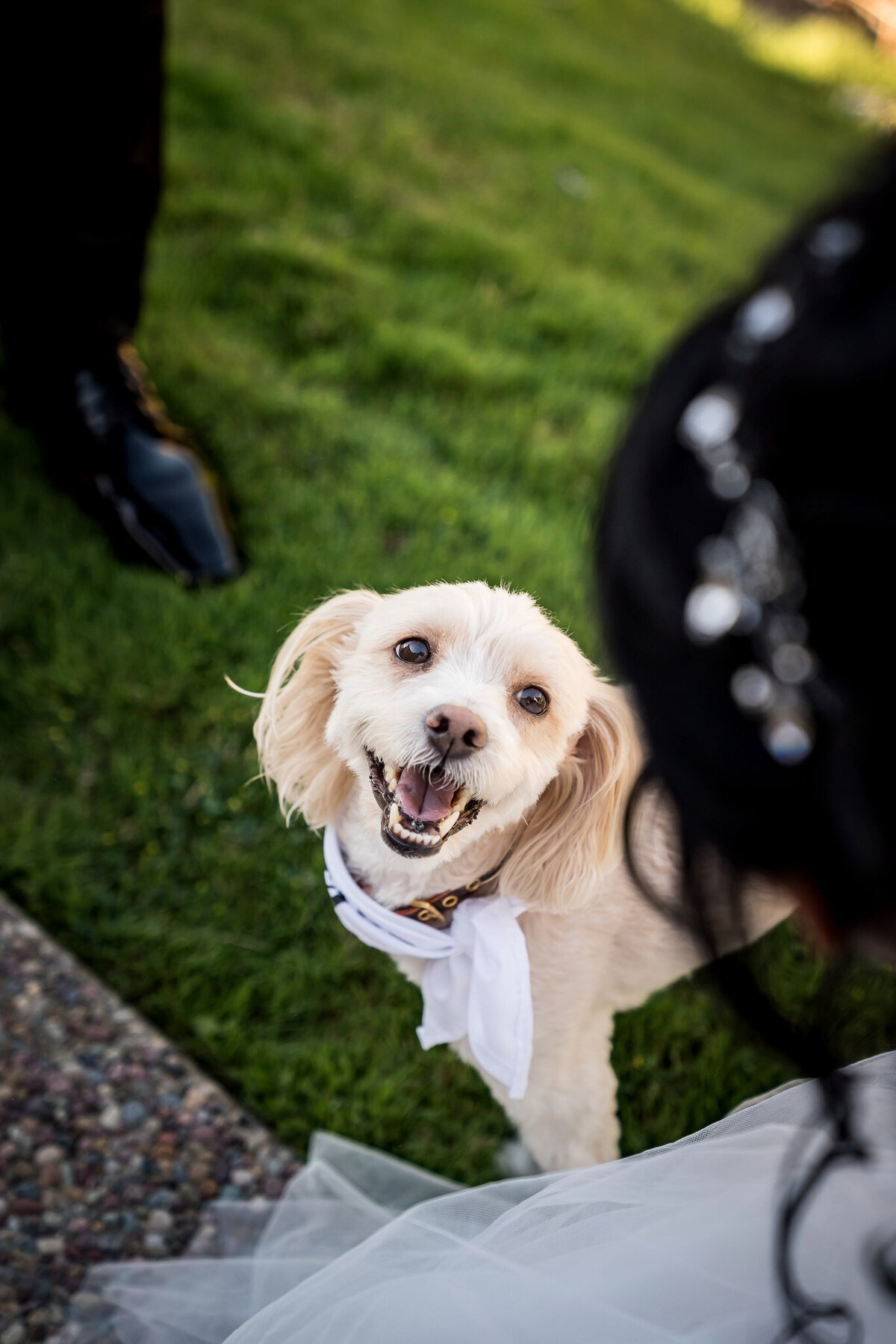 080225_Ashley+Ryan'sWedding_DanBergerPhotography_0584