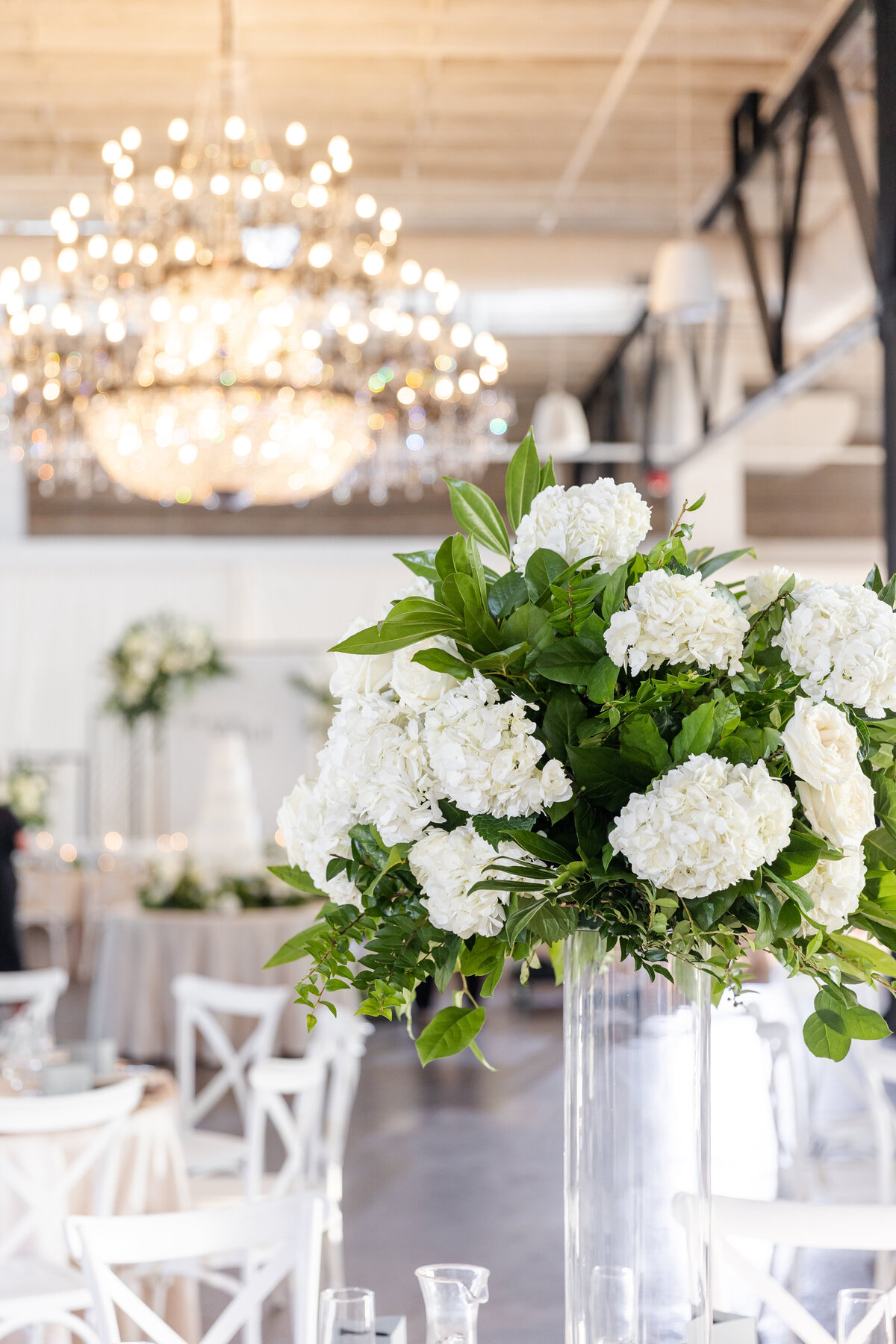 210-2023-McKenzieAustin-JanaMarie