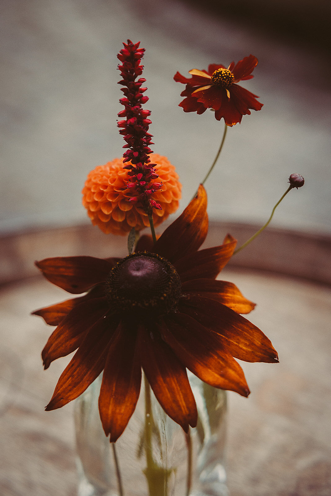 Laure&Nils_huwelijk_bewerkt_receptie_-104