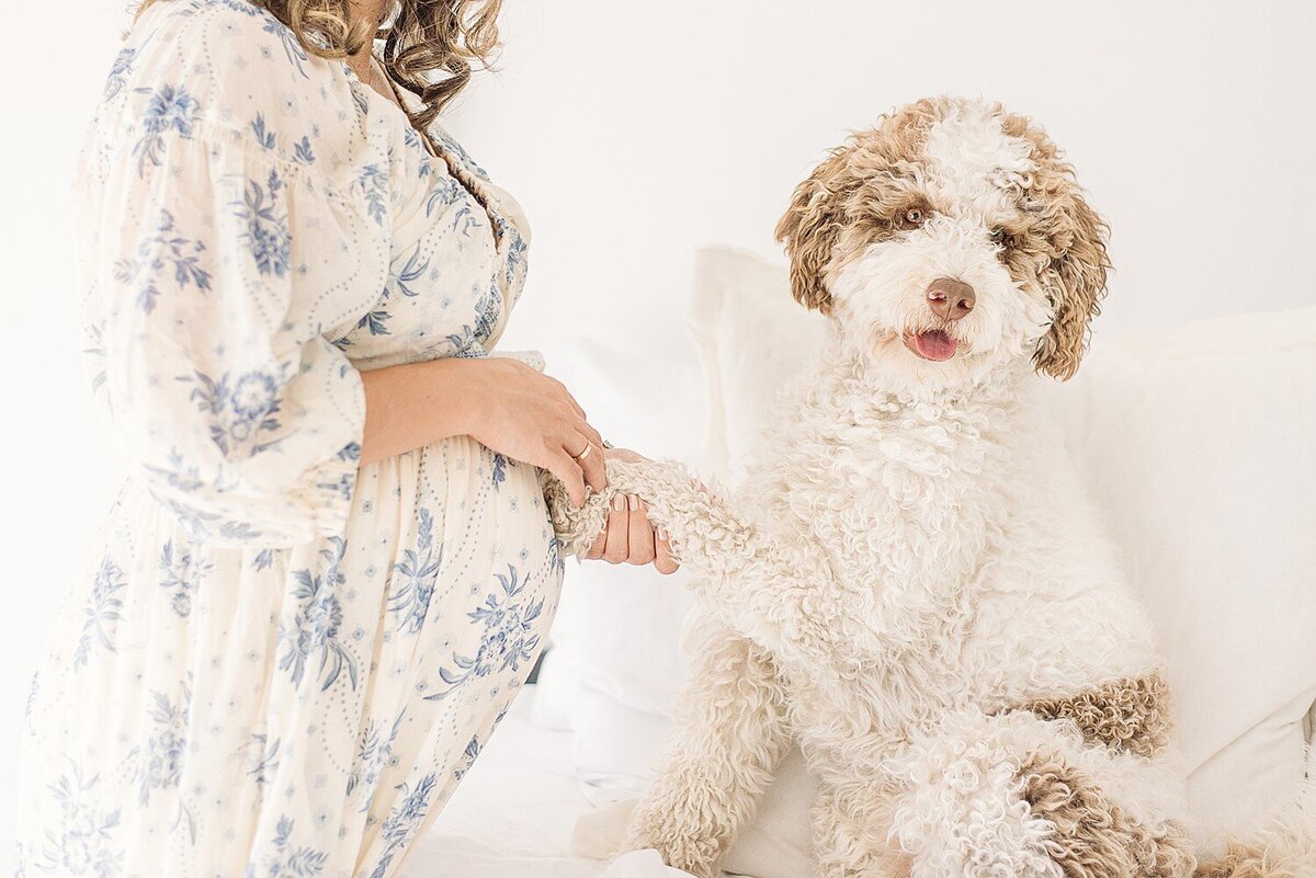 phoenix-maternity-photographer-532
