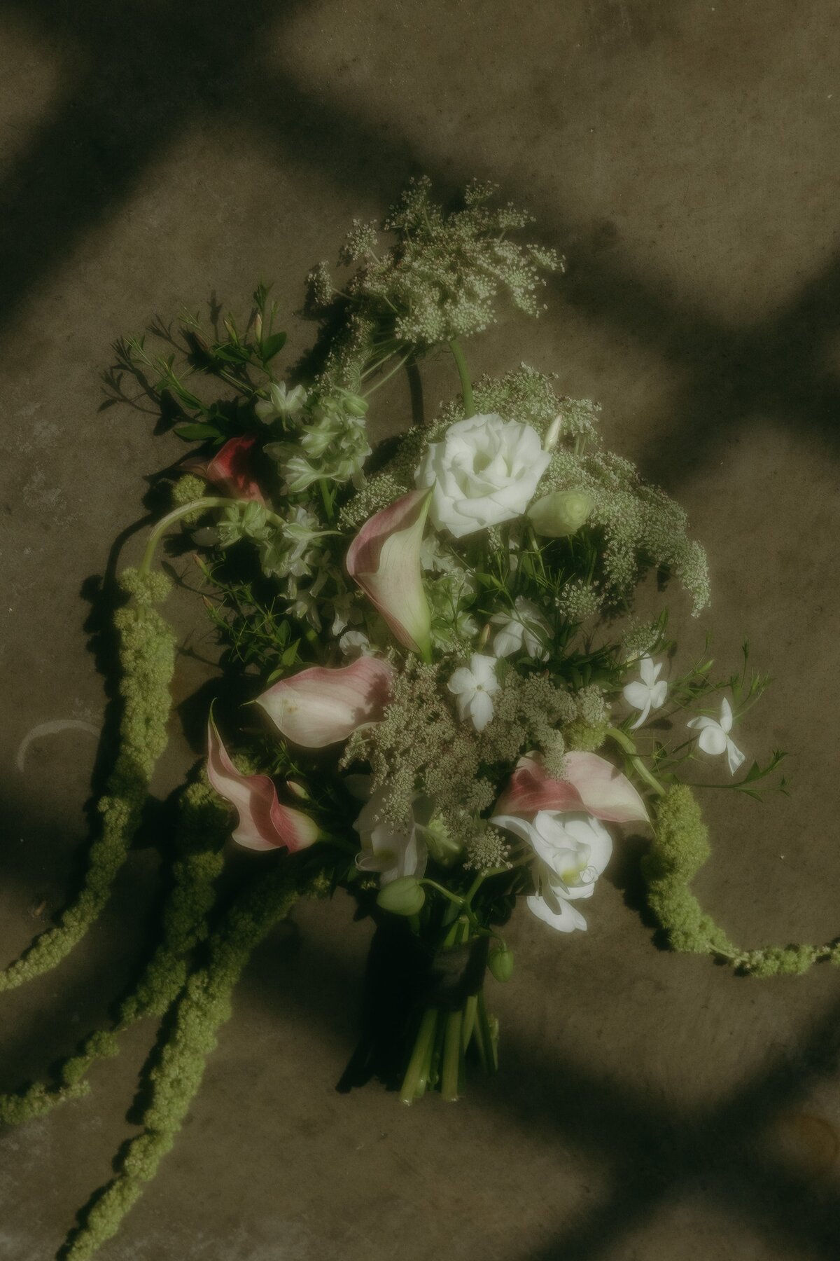 whimsical-shoot-harmac-8
