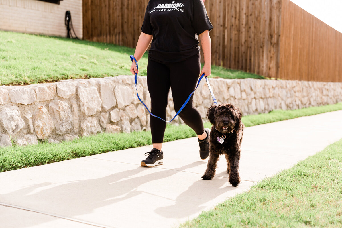 PassionPetCareServices_051623_03