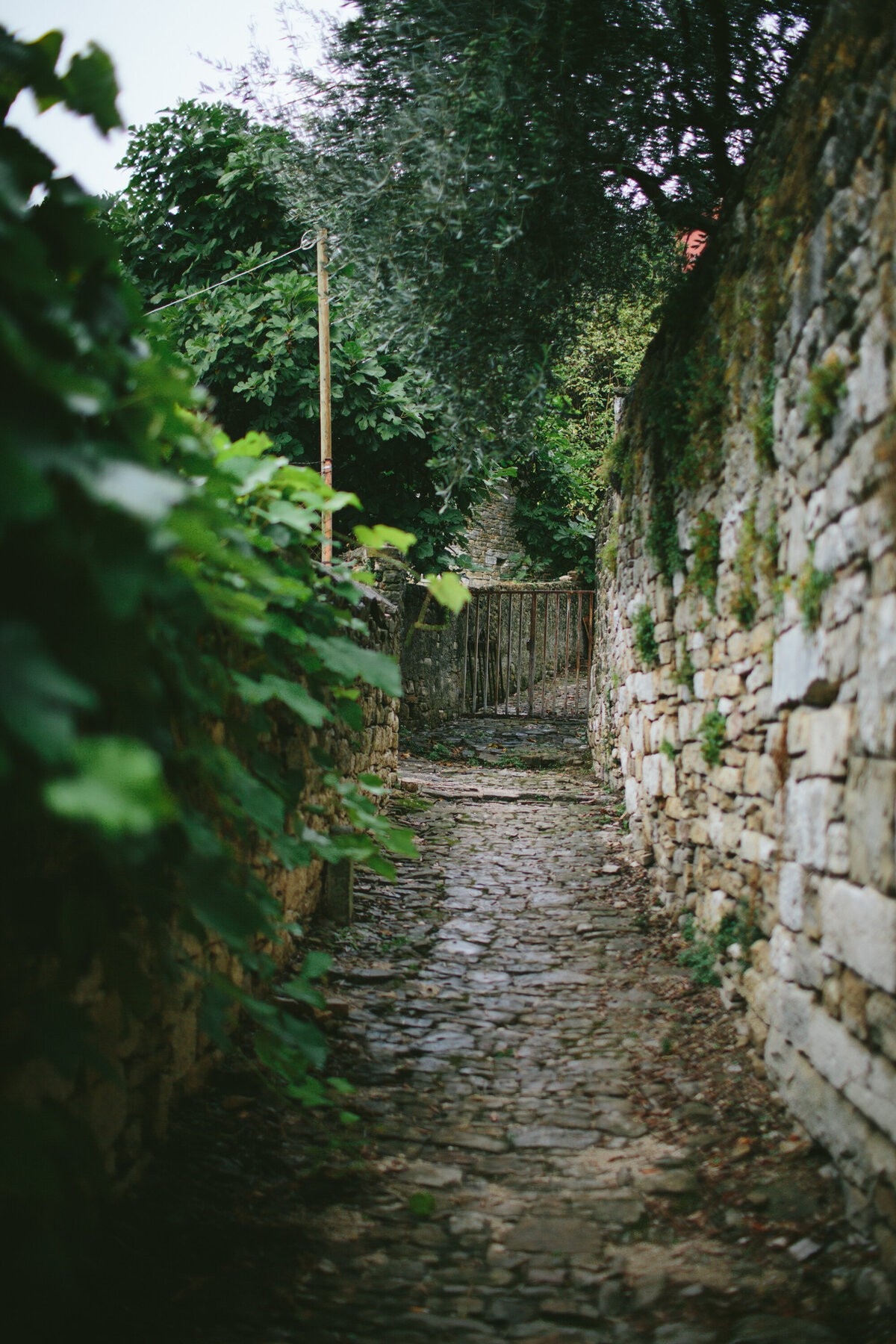 Croatia Workshop 2016 by Eva Kosmas Flores-39