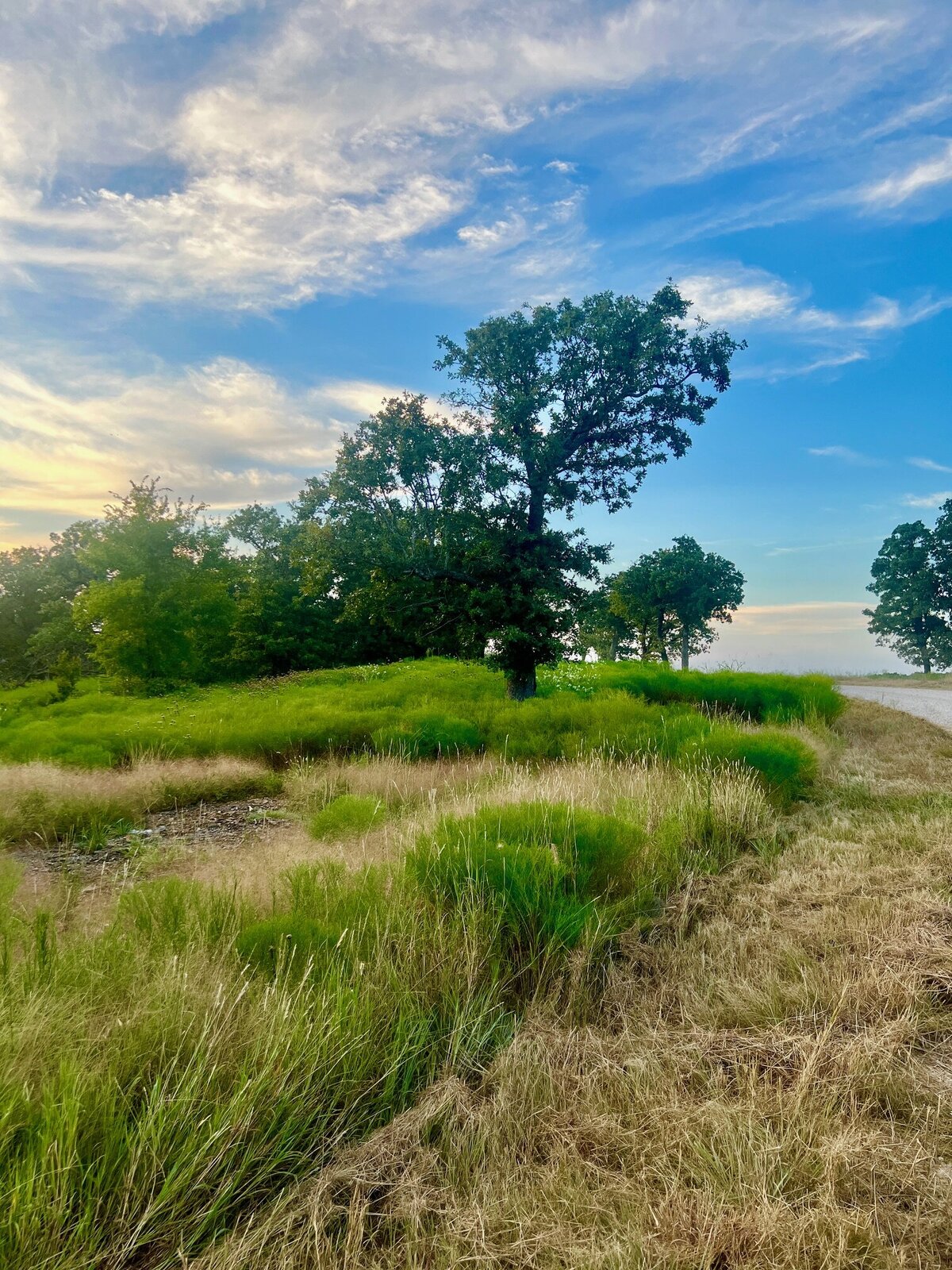 DJI_20250815_195555_736