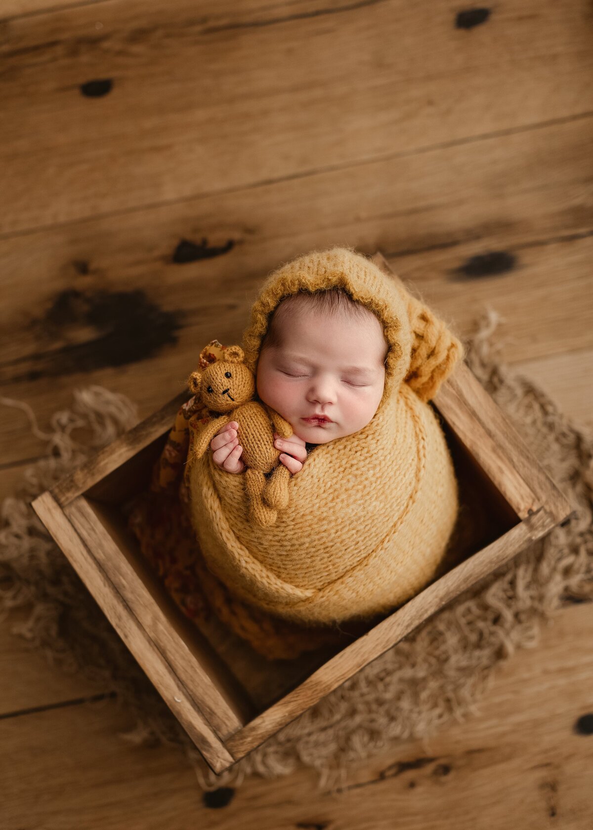 baby girl posed in a prop and wrapped in a mustard set in photography studio