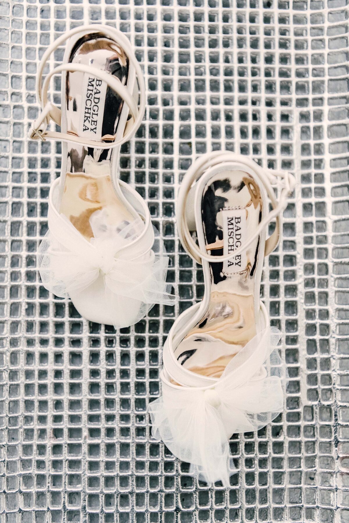 Chicago-Wedding-Photographers-Bridal-Brio-Photo-Studios
