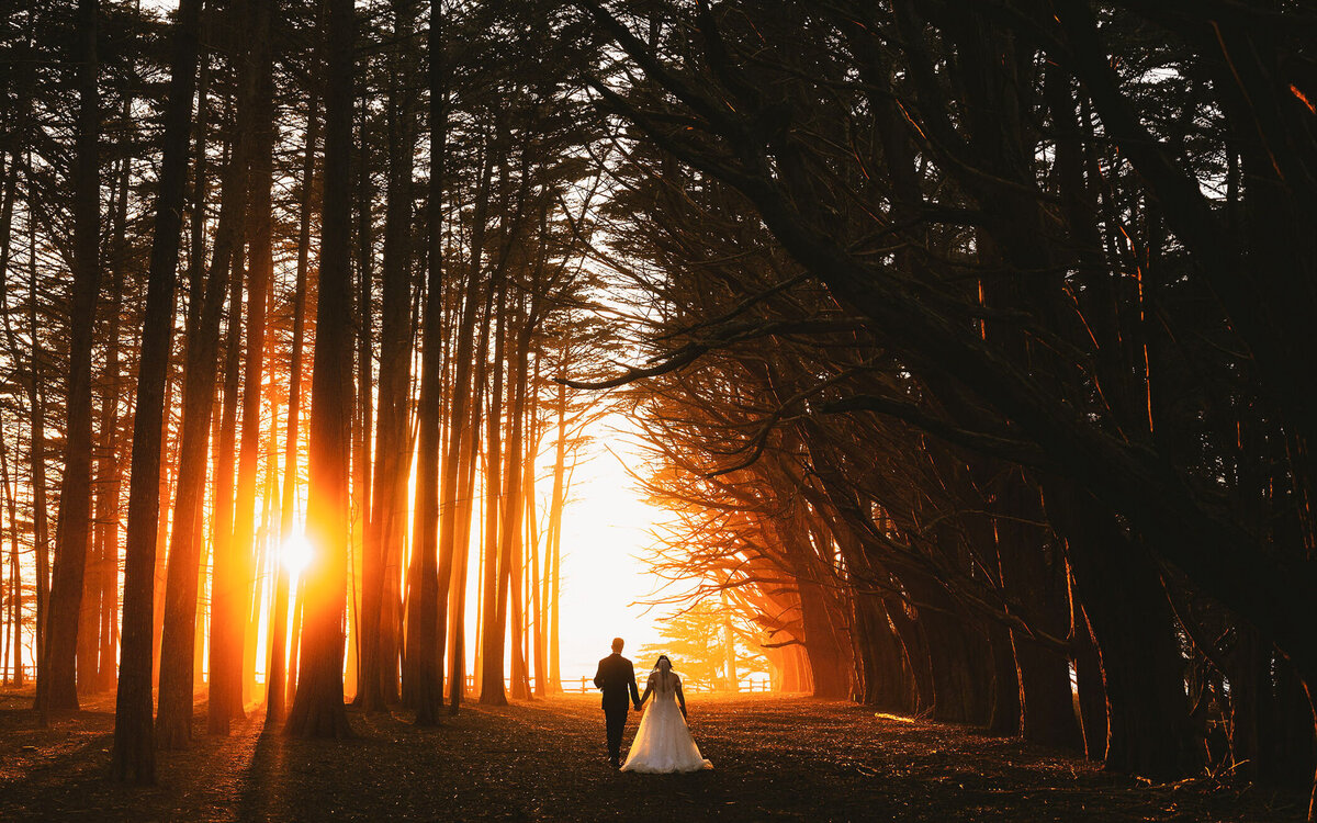Bride and groom walking hand in hand through a sunlit forest with golden light streaming.