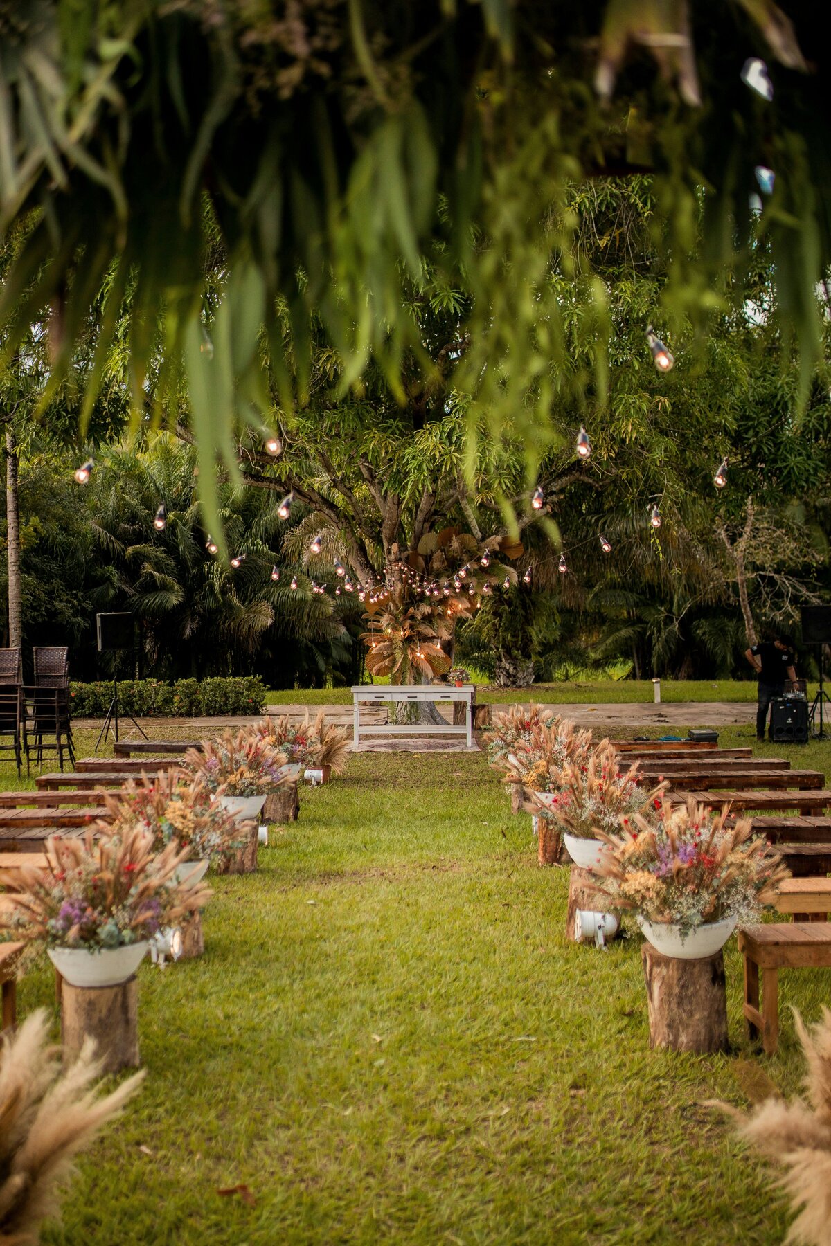 junior-reis-Bk_LRsiVBBg-unsplash