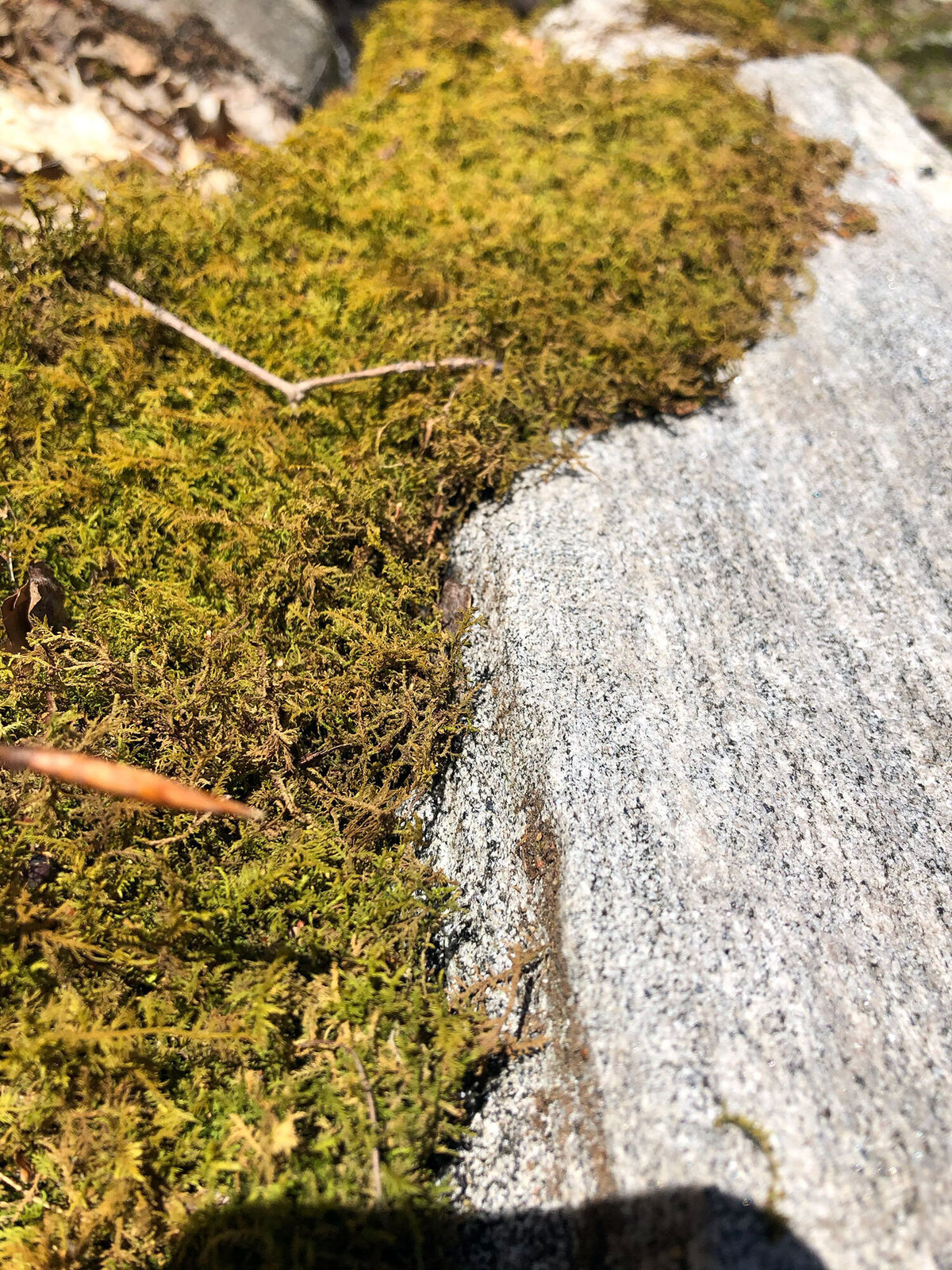 CCC_Estuary_46