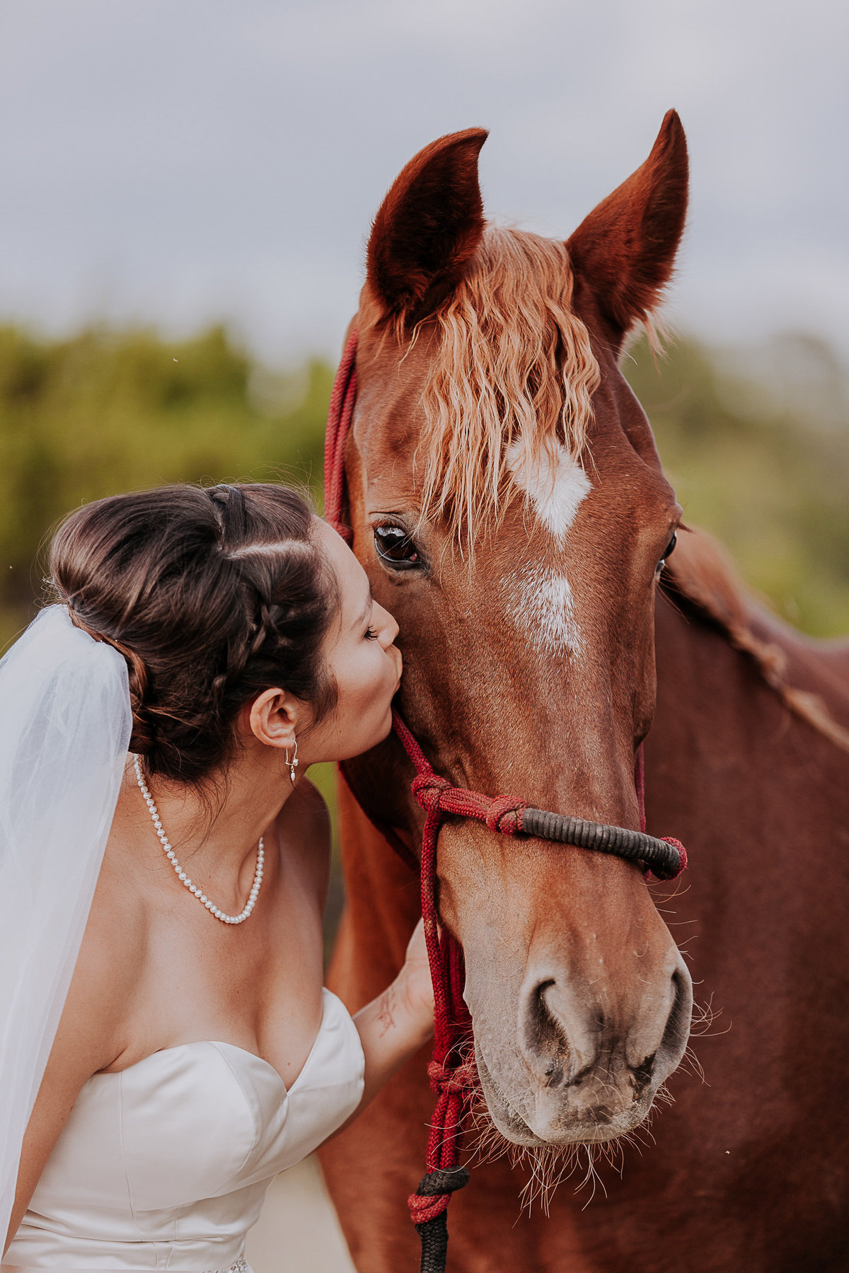 Lake Tahoe wedding photographers bride kisses her horse on wedding day