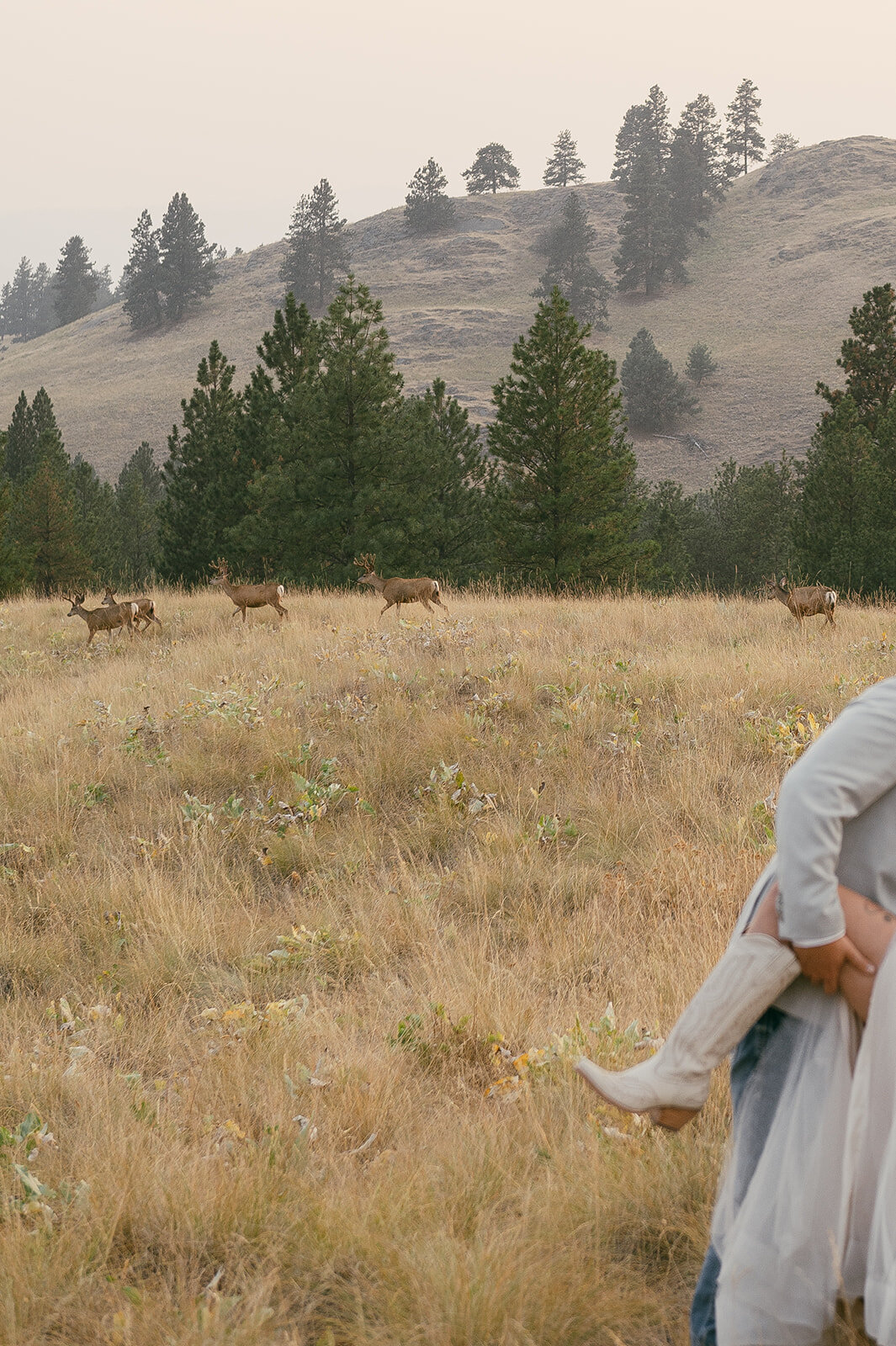 presley-gray-photo-wild-horse-montana-elopement-0463