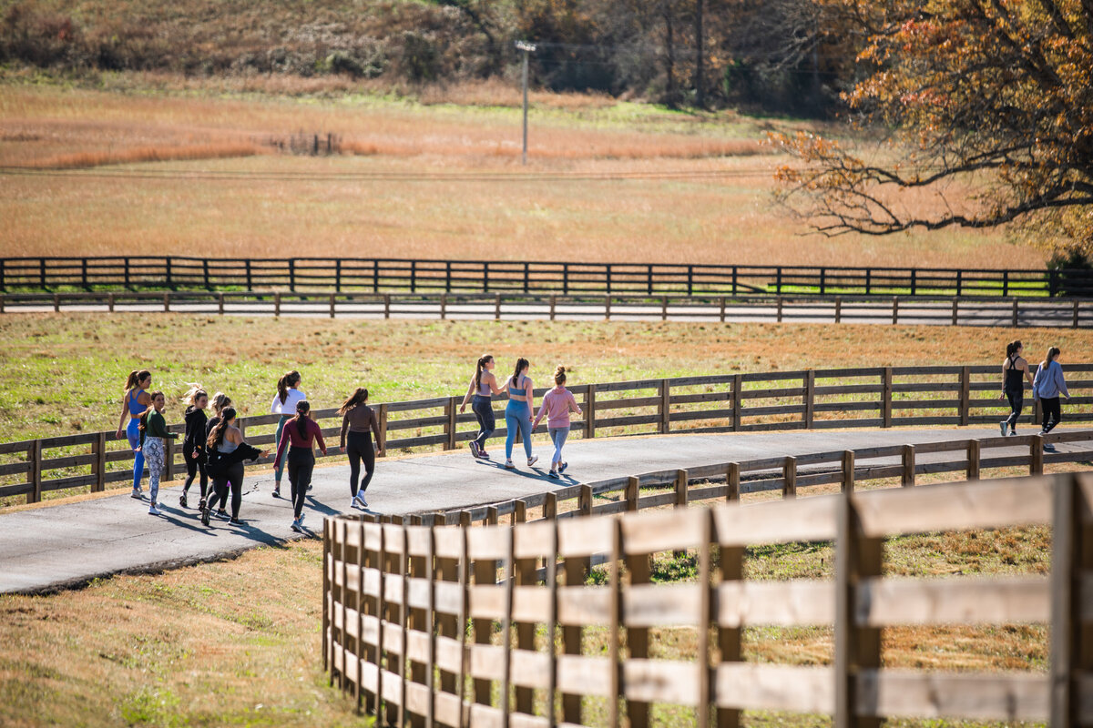 Experience the Farm Venue and Estate I True South Farm I TN