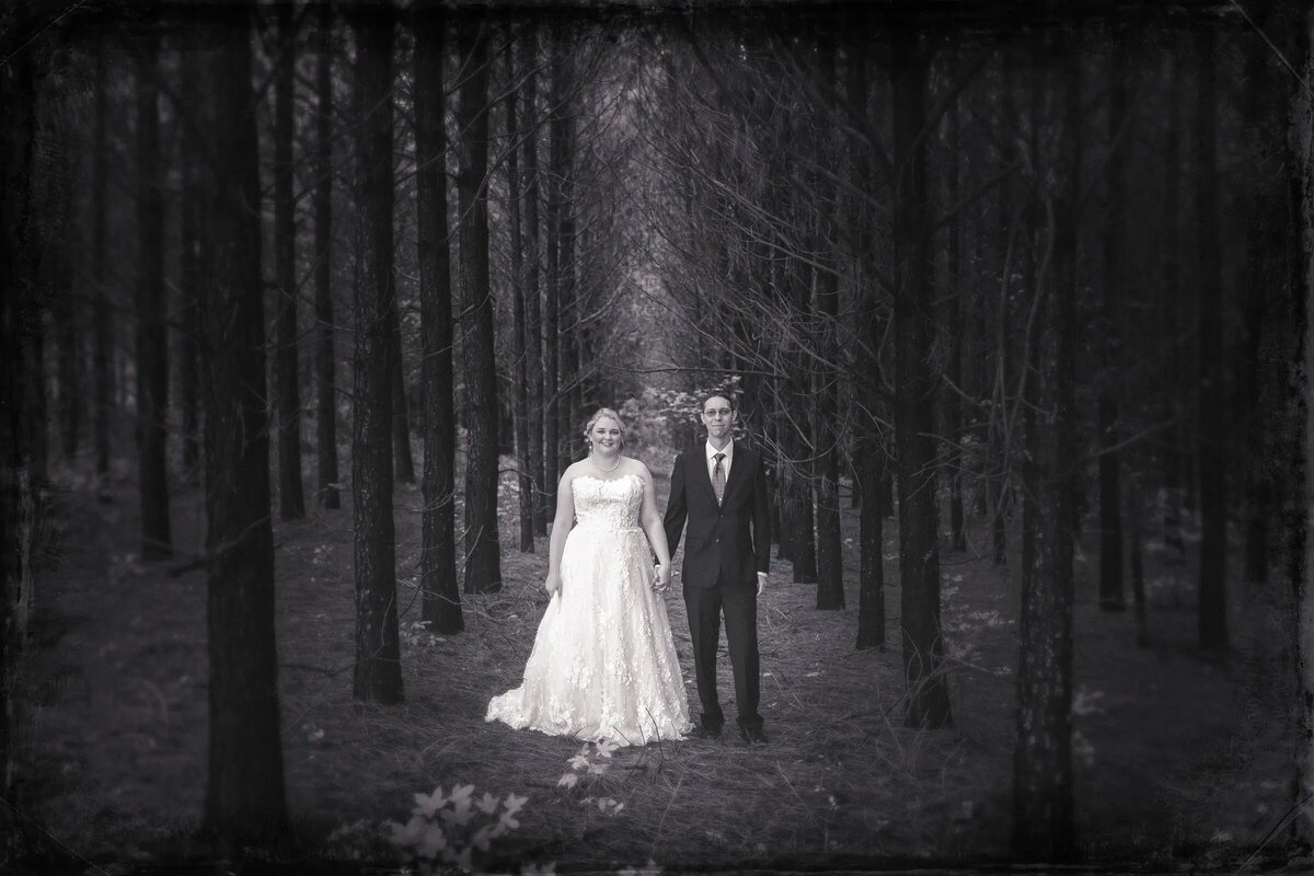 Bride and groom standing amidst a pine forest, with a soft focus creating an ethereal atmosphere in the black and white photo.