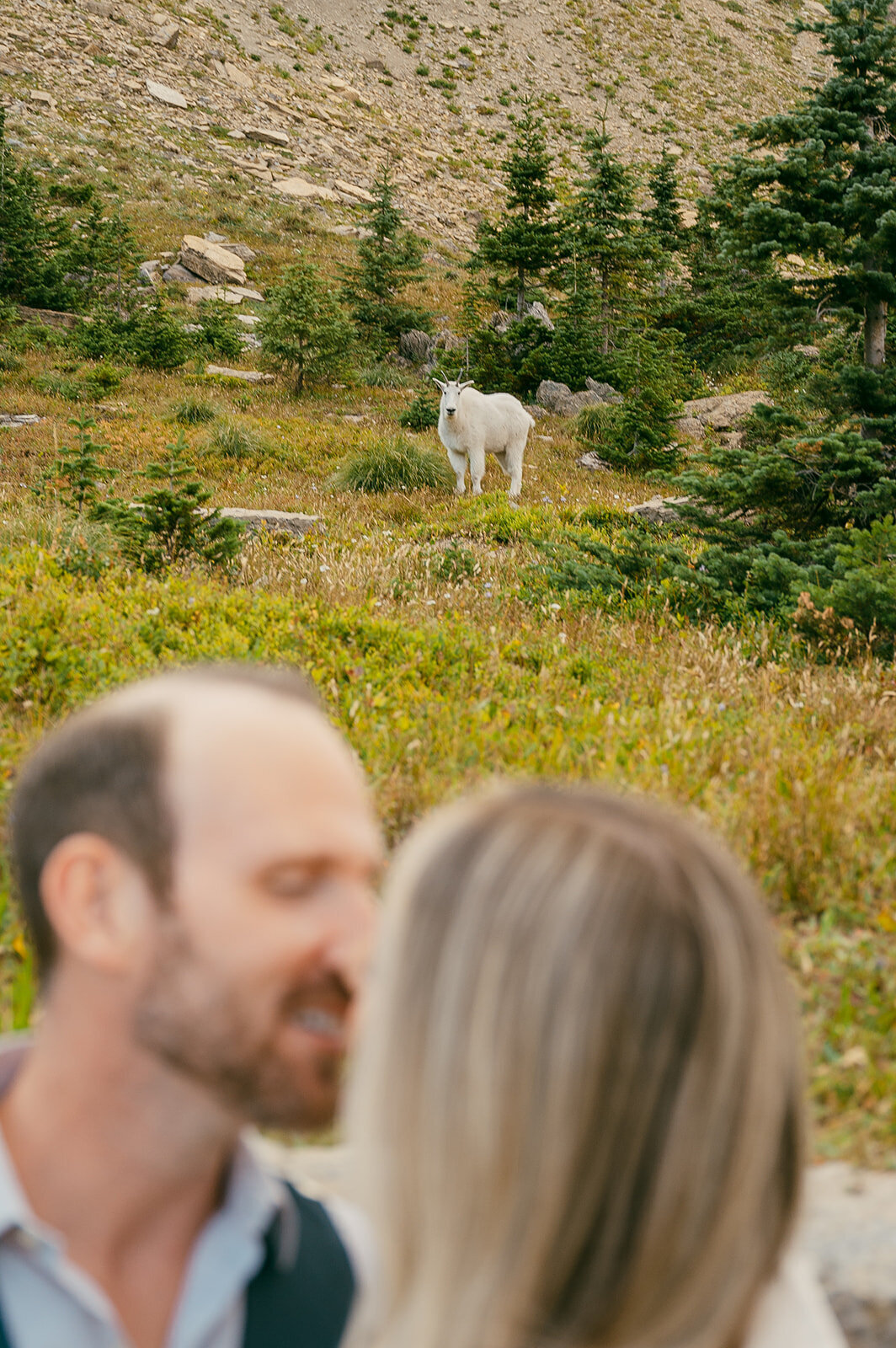 vintage-hollywood-glacier-national-park-elopement-presley-gray-photo1161