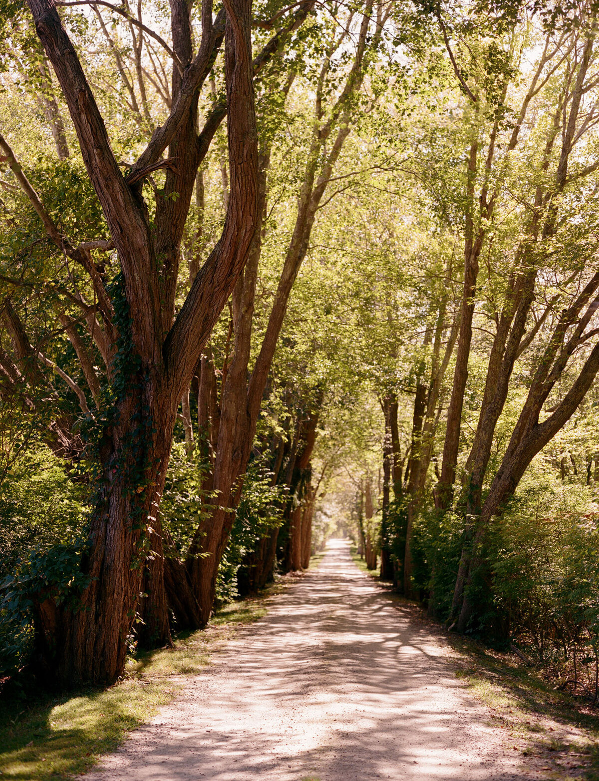 CT-Coastal-Private-Home-Wedding-0001