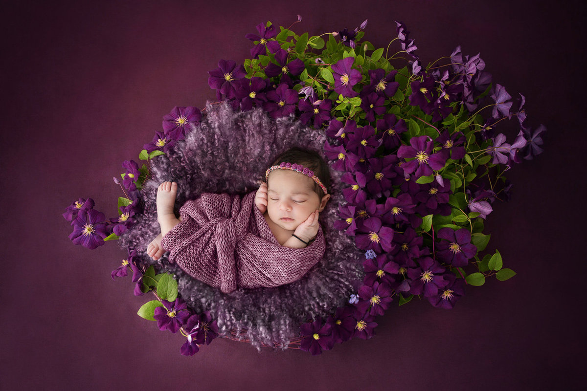 newborn in flowers252