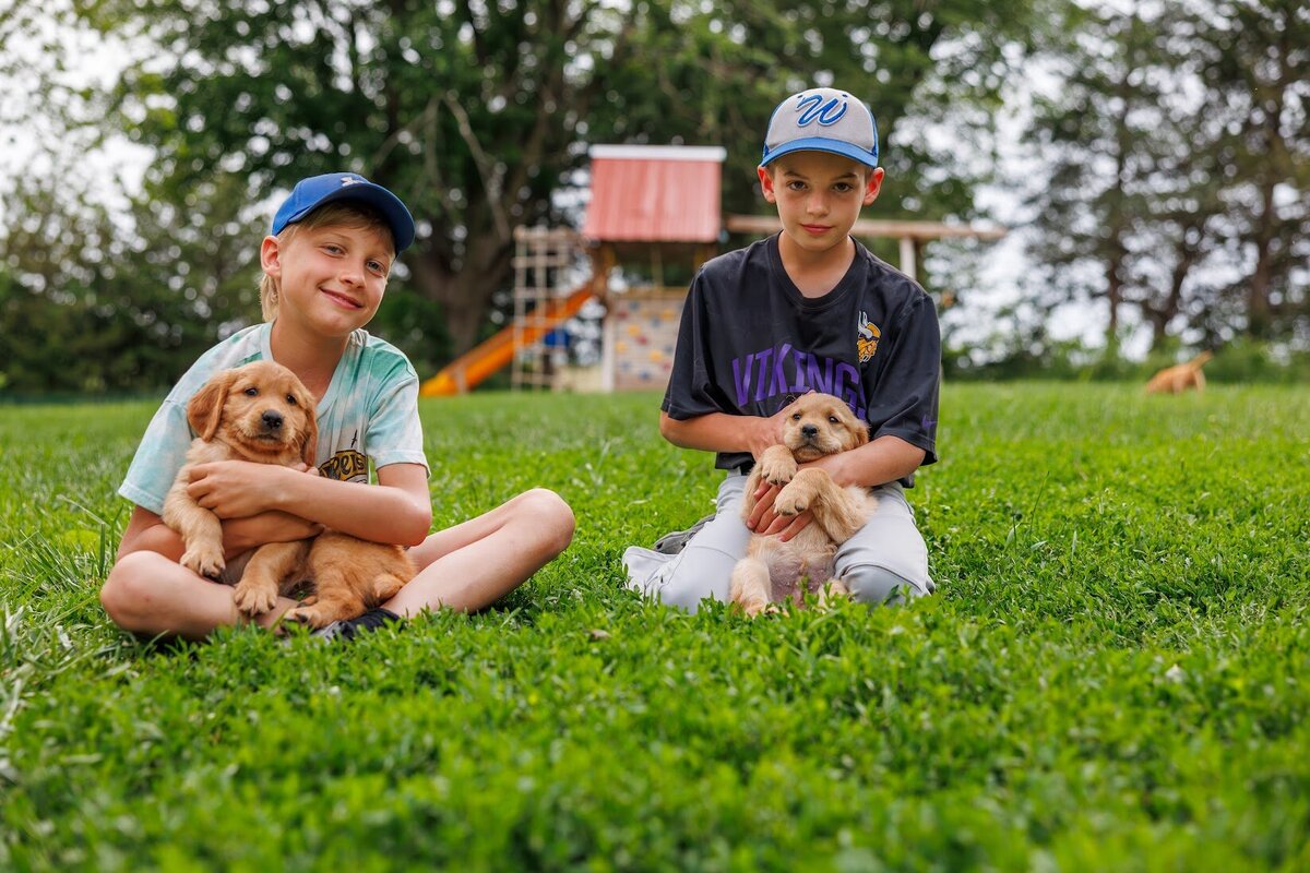 Appelgate-Golden-Retriever-Puppies-1