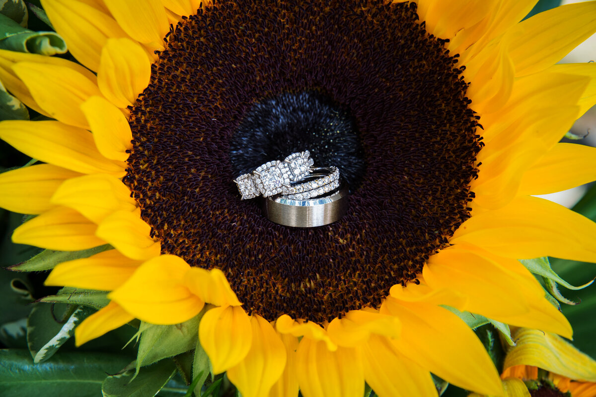 Wedding Rings inside a Sunflower