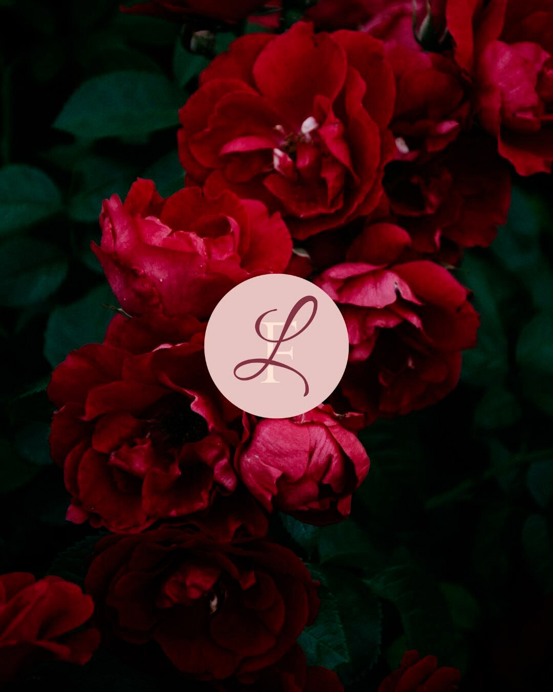 baer-brand-studio-leanne-mortgage-broker-brandmark-logo-signature-package