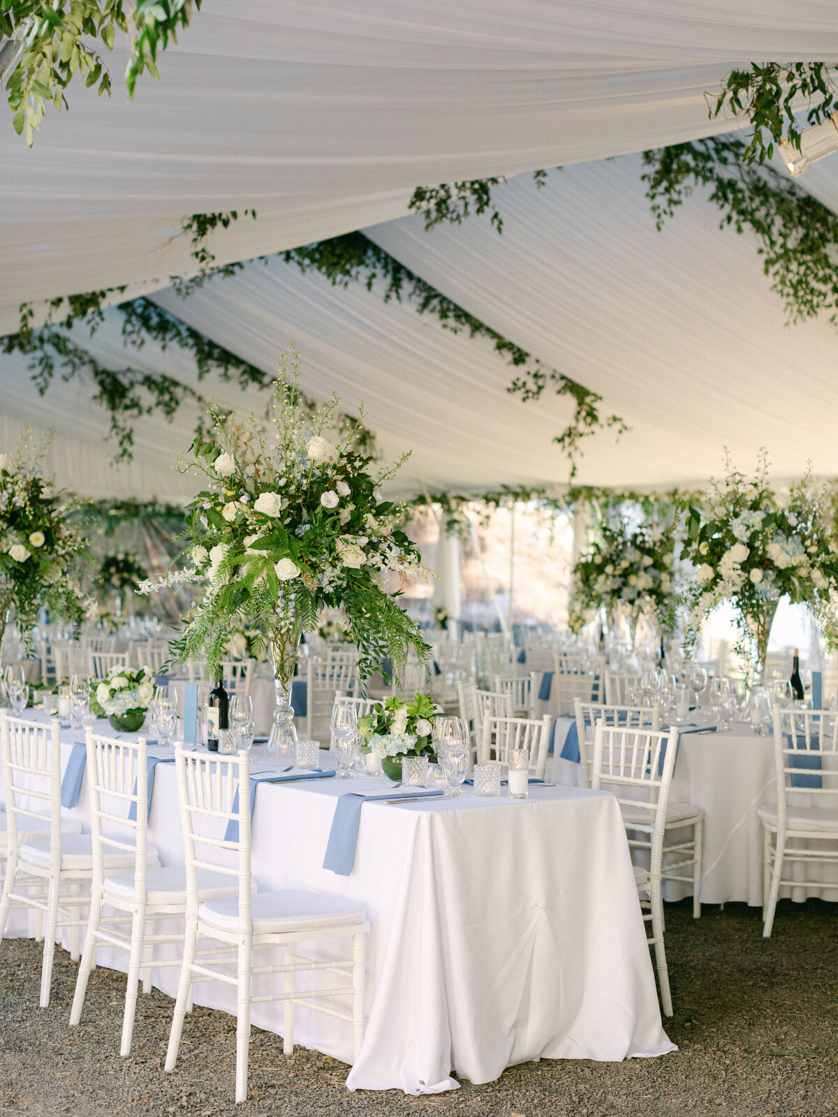 AshleyCookPhotography-4