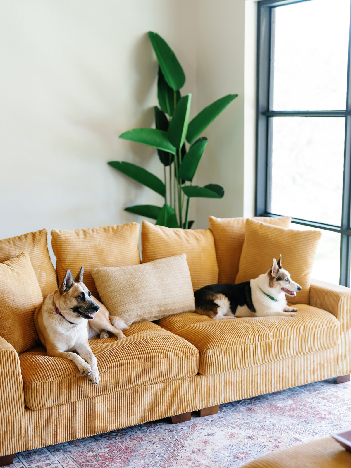 56_Wimberley Airbnb_Paige Vaughn Photo-Focus