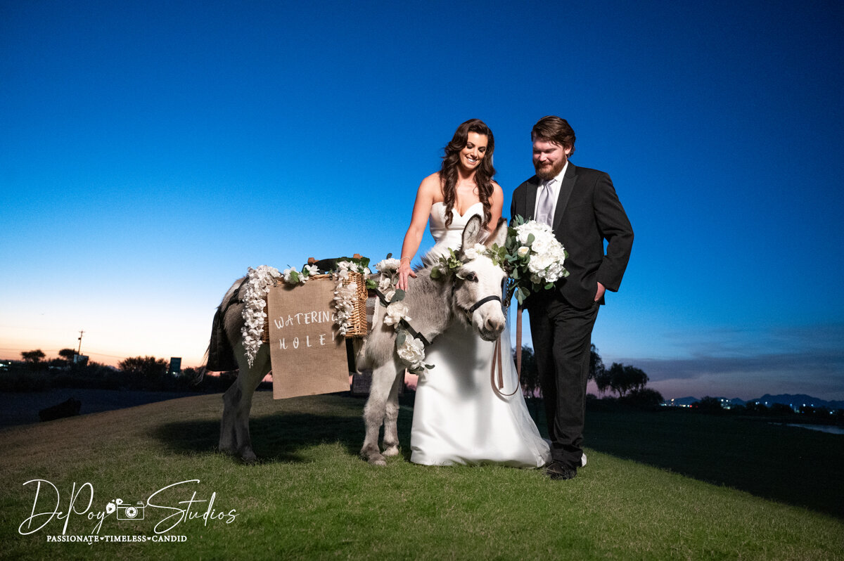 The Views at Superstition Wedding, DePoy Studios