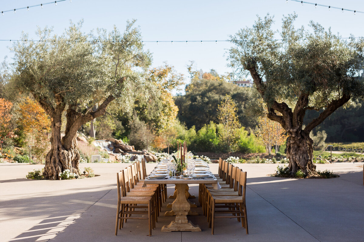 tablescape-18 (1)