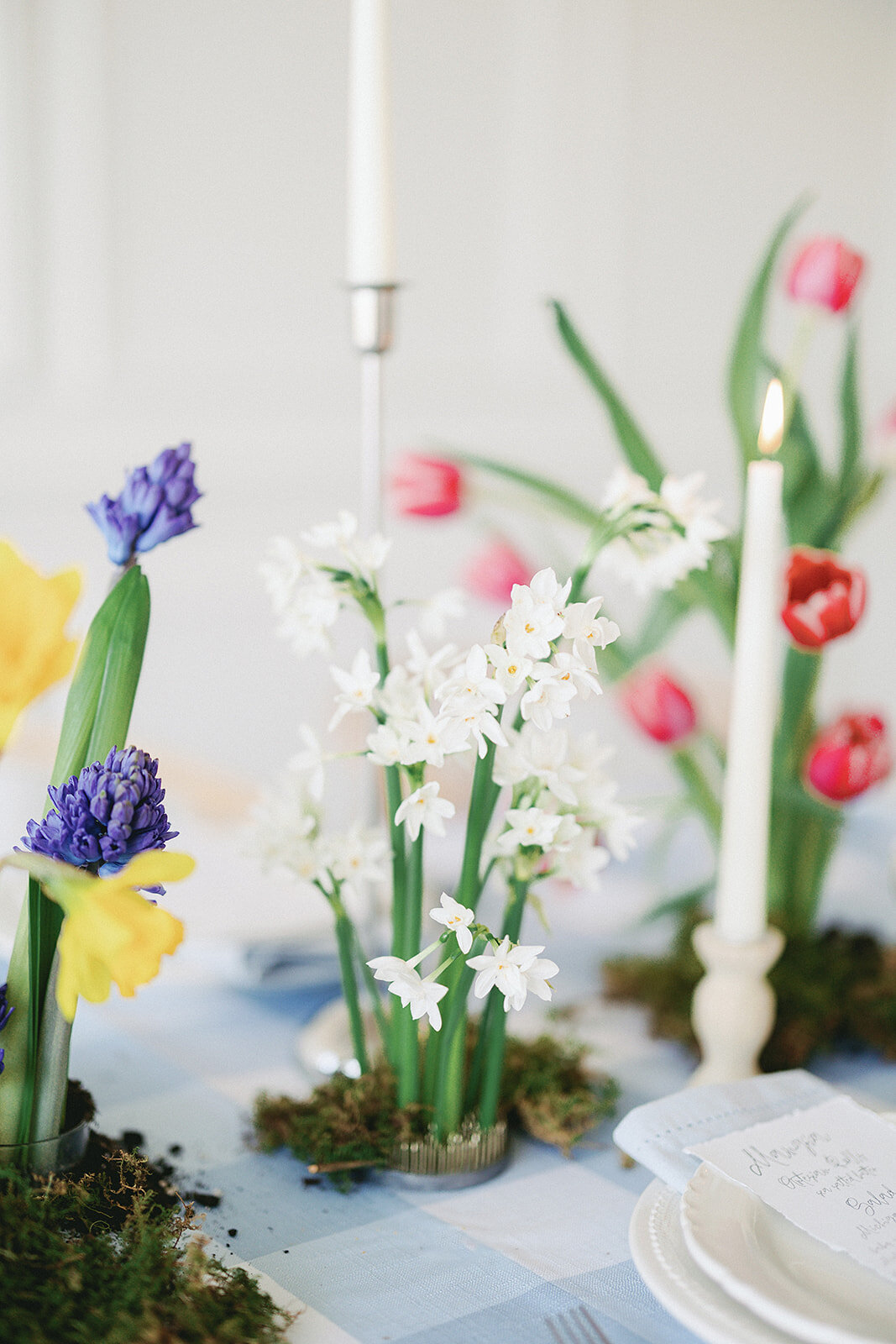 Belle-Event-Co-Elise-Filliccia-Photography-39